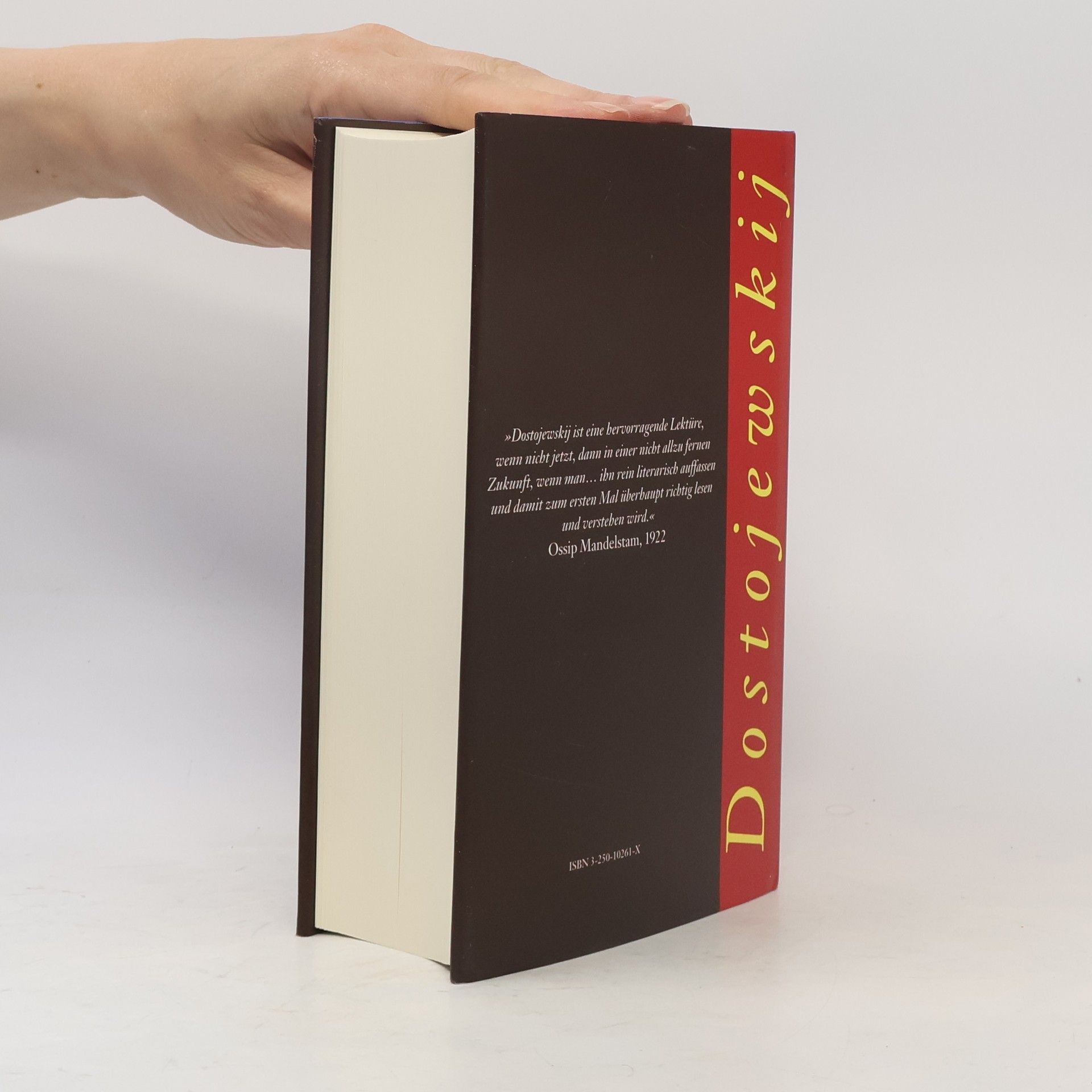 Fyodor Dostoyevsky Böse Geister