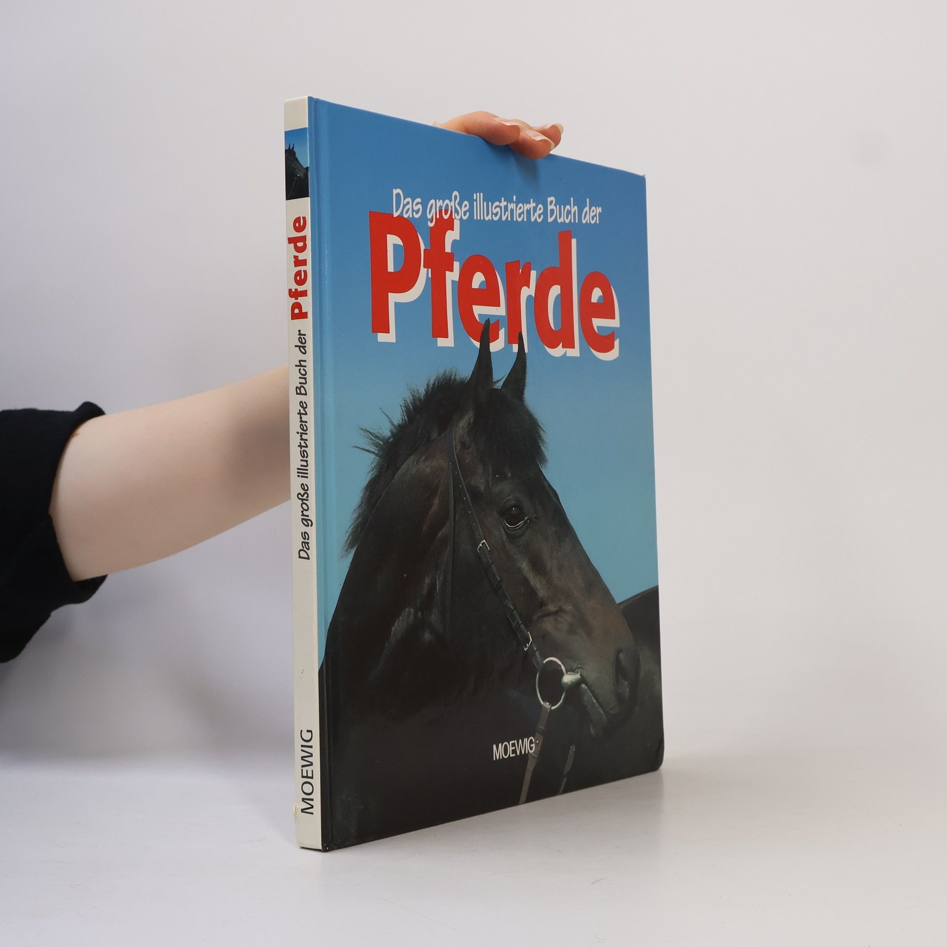 Kolektiv autorů Das große illustrierte Buch der Pferde