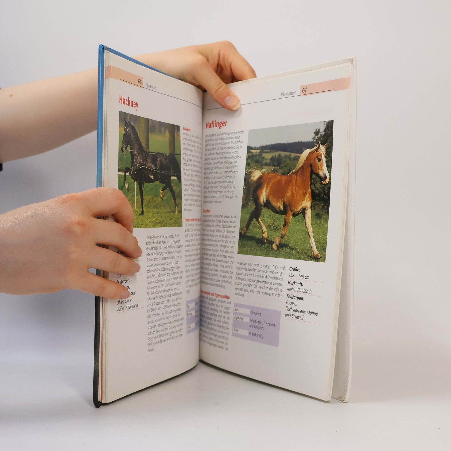 Kolektiv autorů Das große illustrierte Buch der Pferde