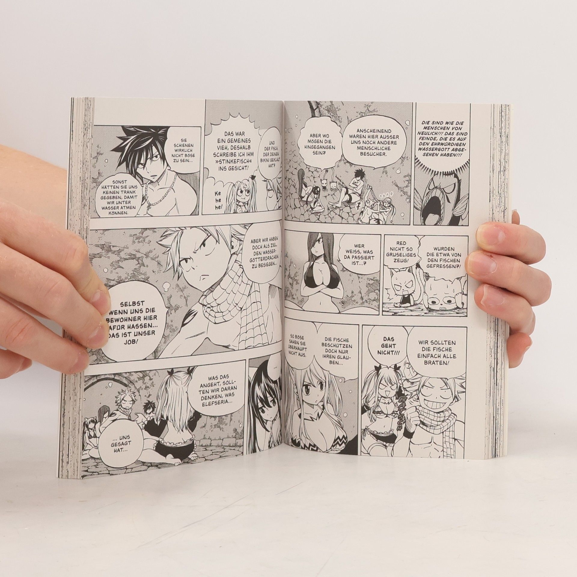 Hiro M. Fairy Tail – 100 Years Quest 1