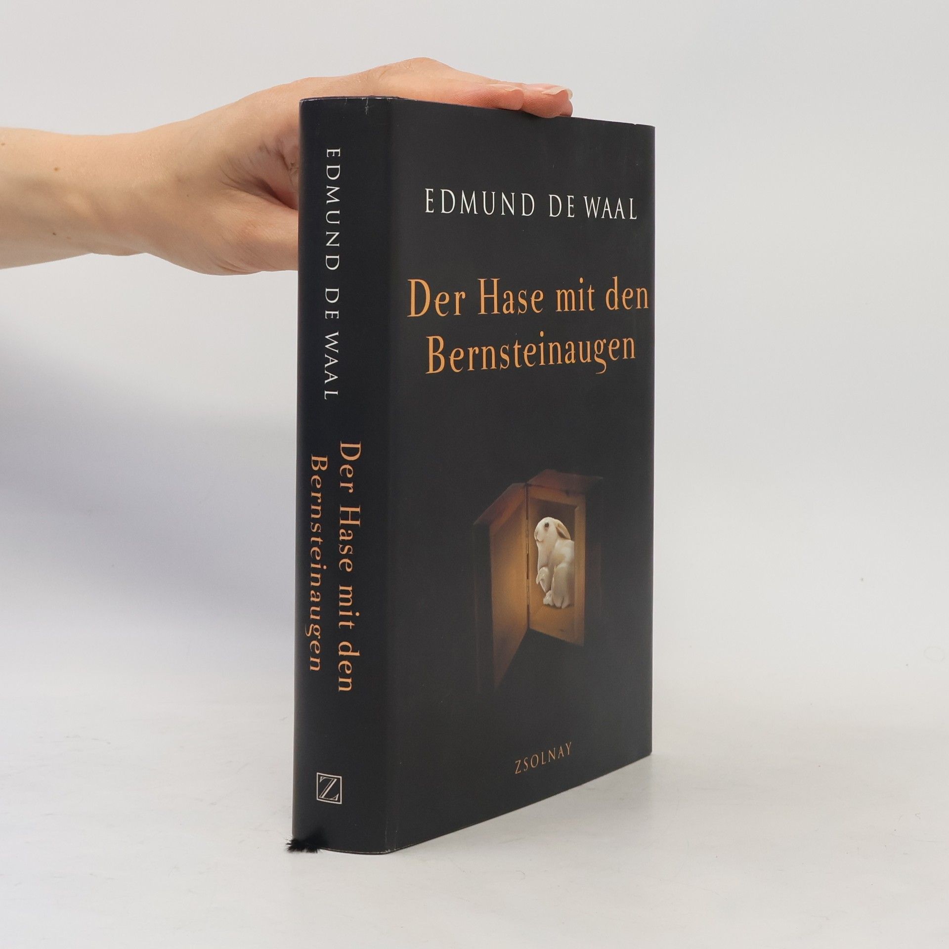 Edmund de Waal Der Hase mit den Bernteinaugen