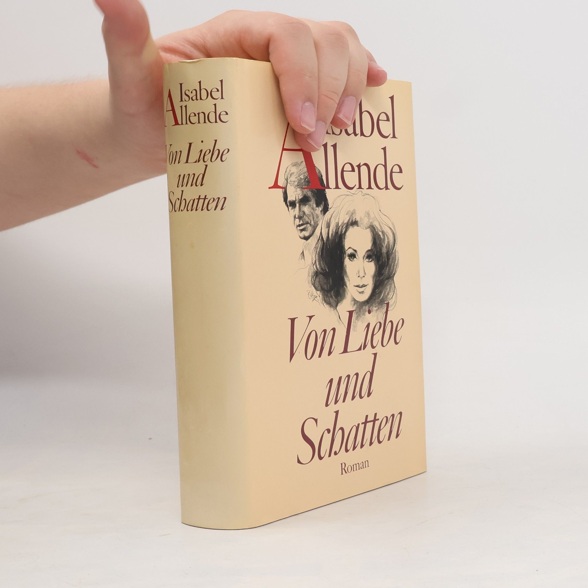 Isabel Allende Llona Von Liebe und Schatten