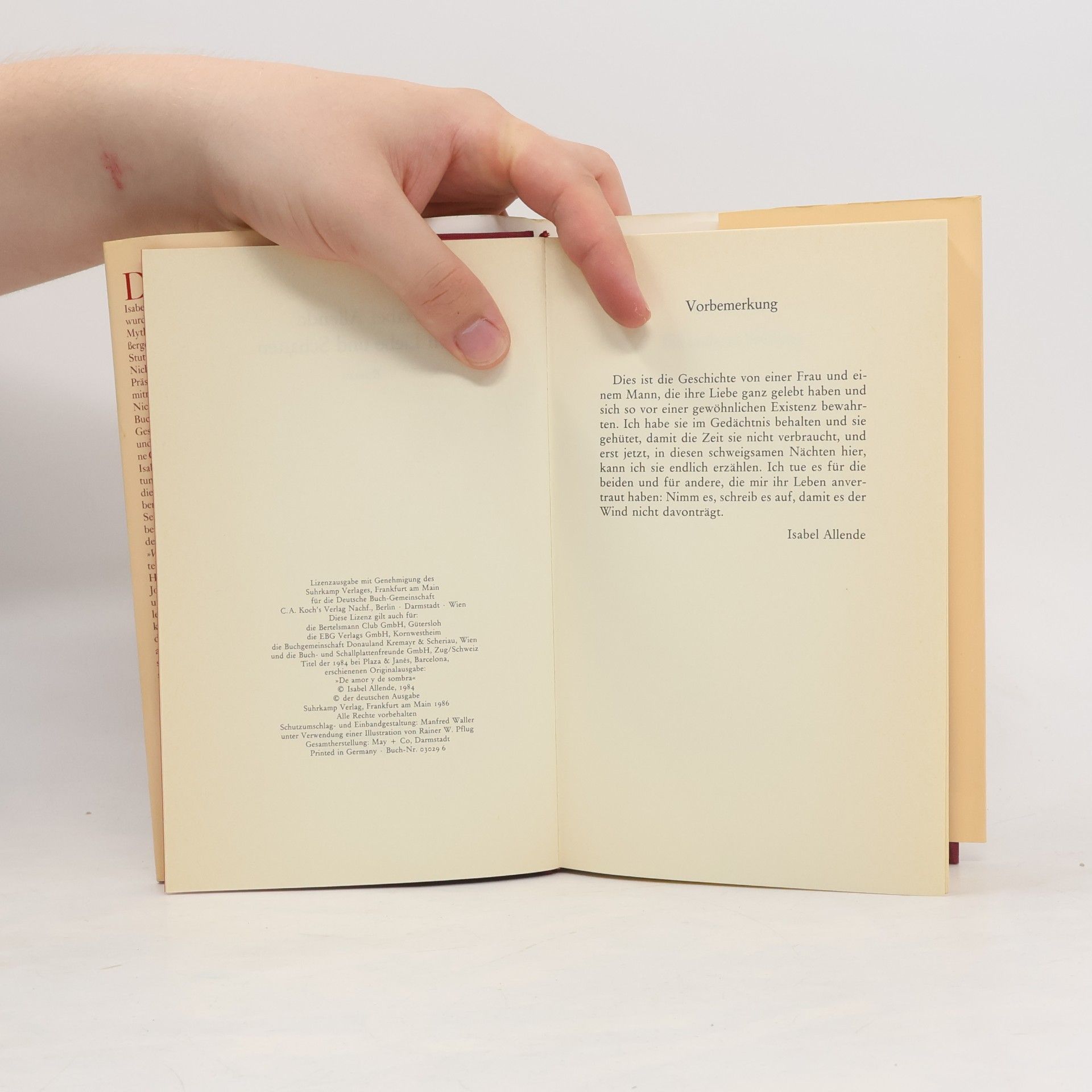 Isabel Allende Llona Von Liebe und Schatten