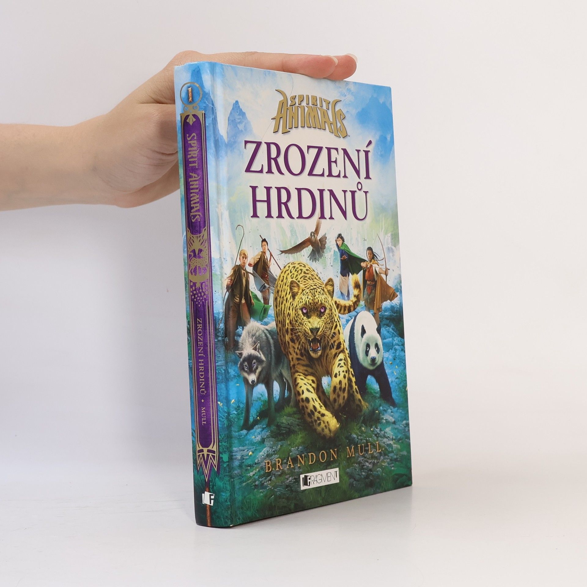 Brandon Mull Zrození hrdinů
