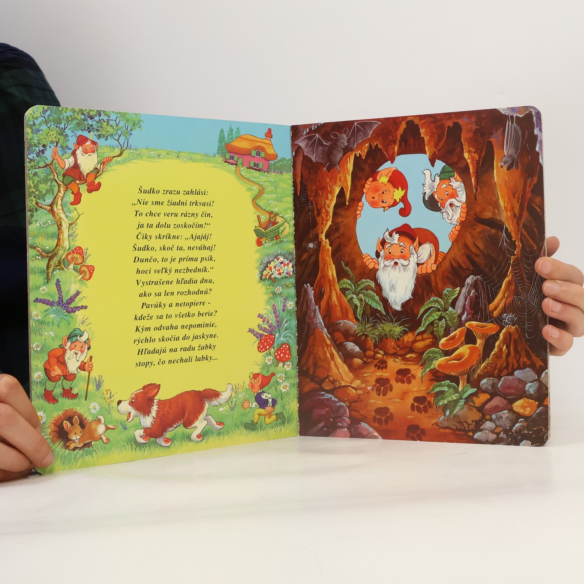 Various authors Traja trpaslíci hľadajú poklad