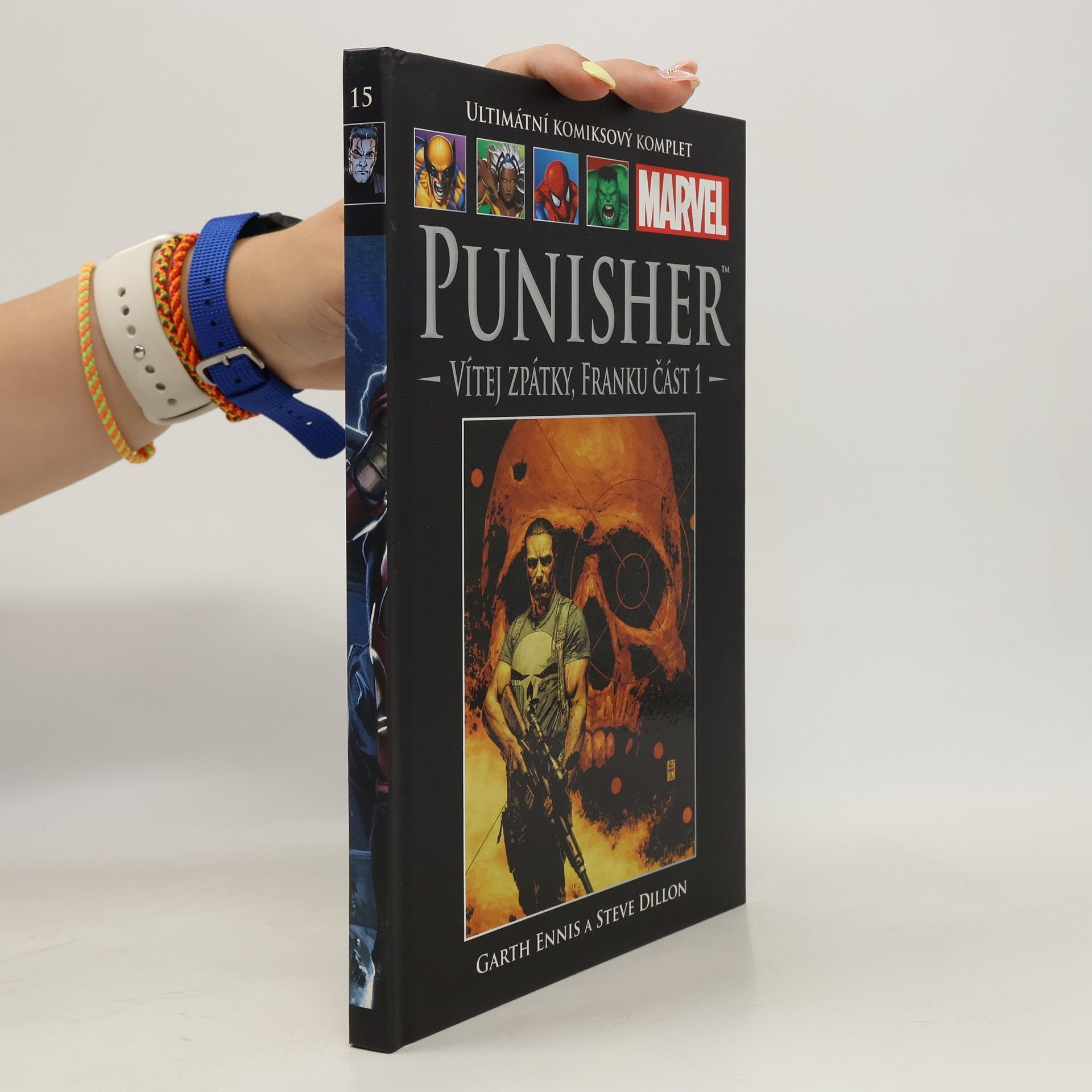 Steve Dillon Ultimátní komiksový komplet 15. Punisher