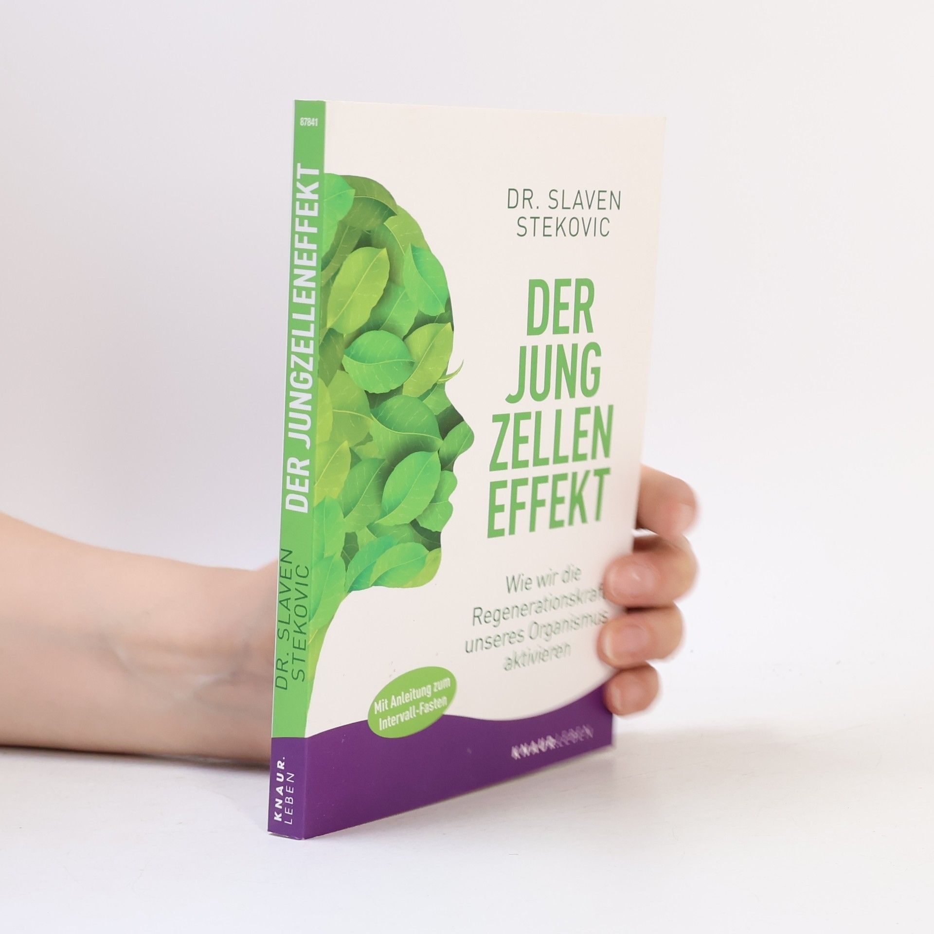 Slaven Stekovic Der Jungzelleneffekt