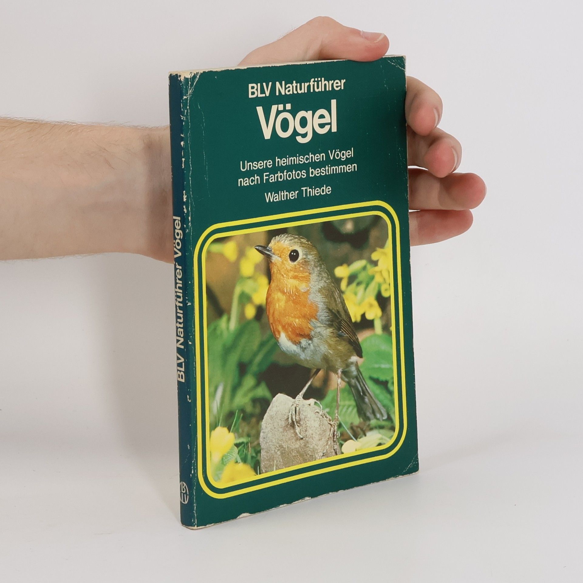 Walther Thiede Vögel