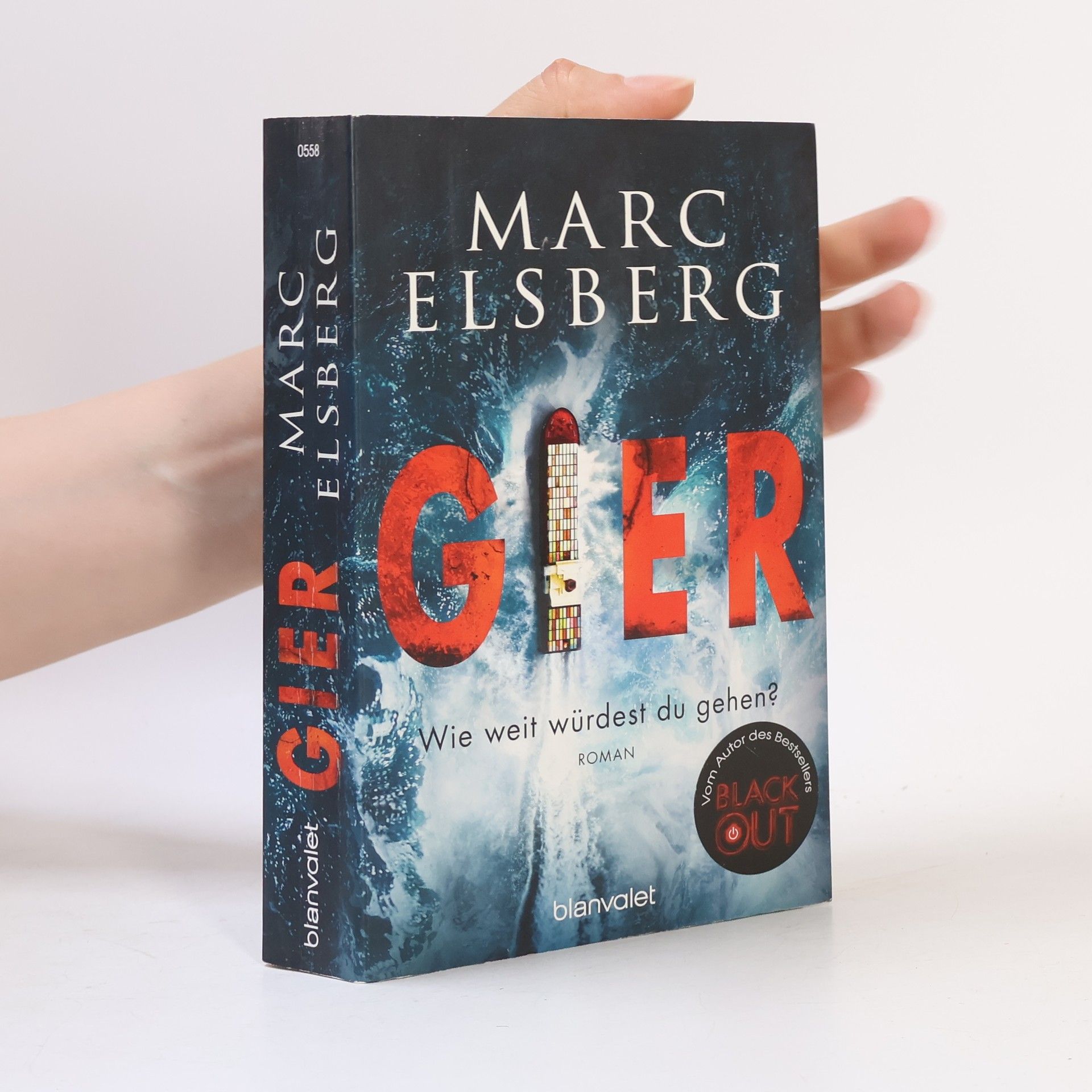 Marc Elsberg Gier