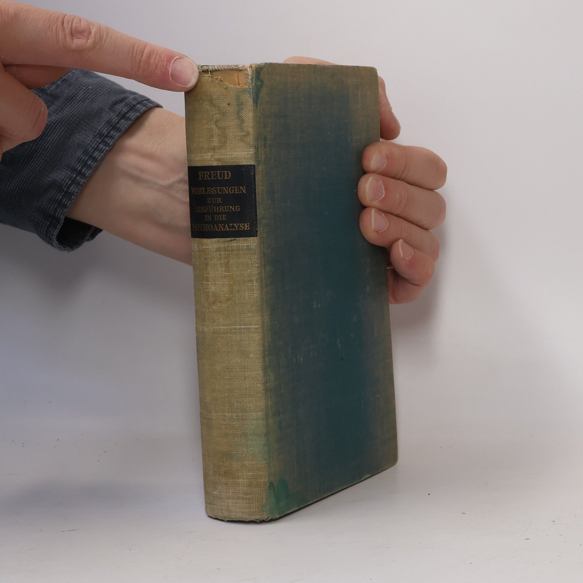 Sigmund Freud Vorlesungen zur Einführung in die Psychoanalyse