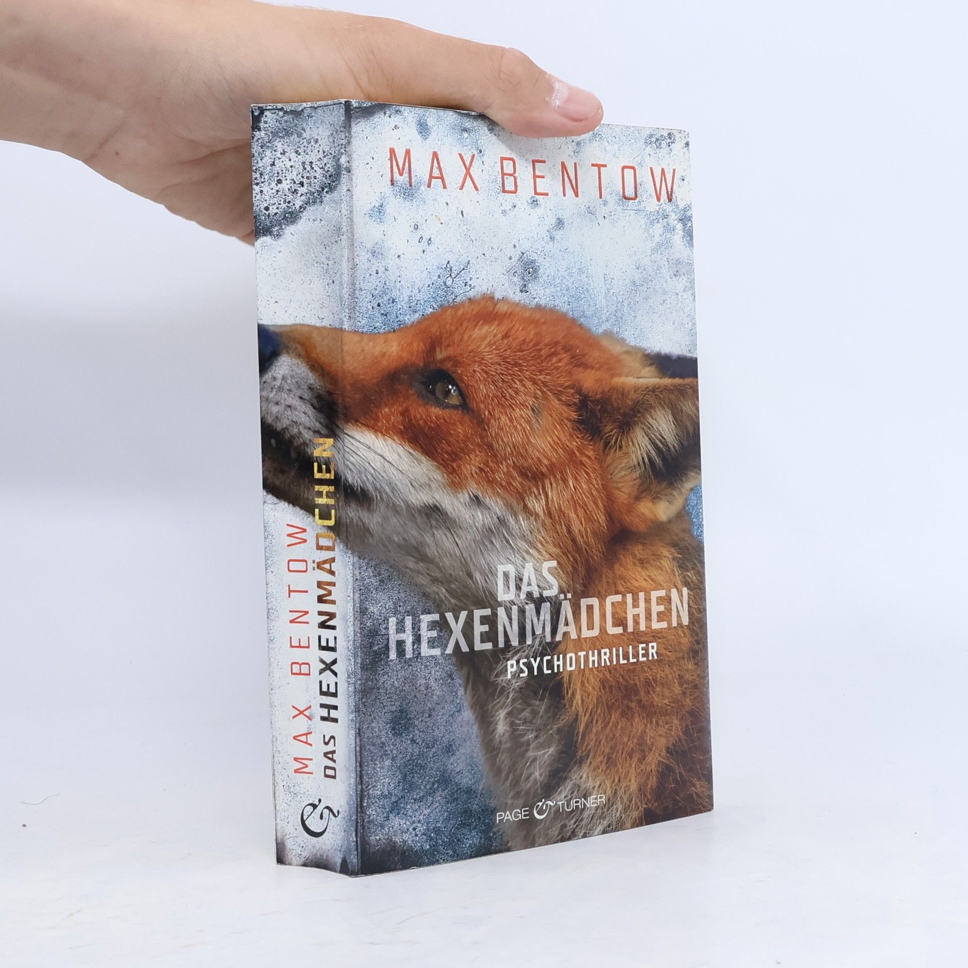 Max Bentow Das Hexenmädchen