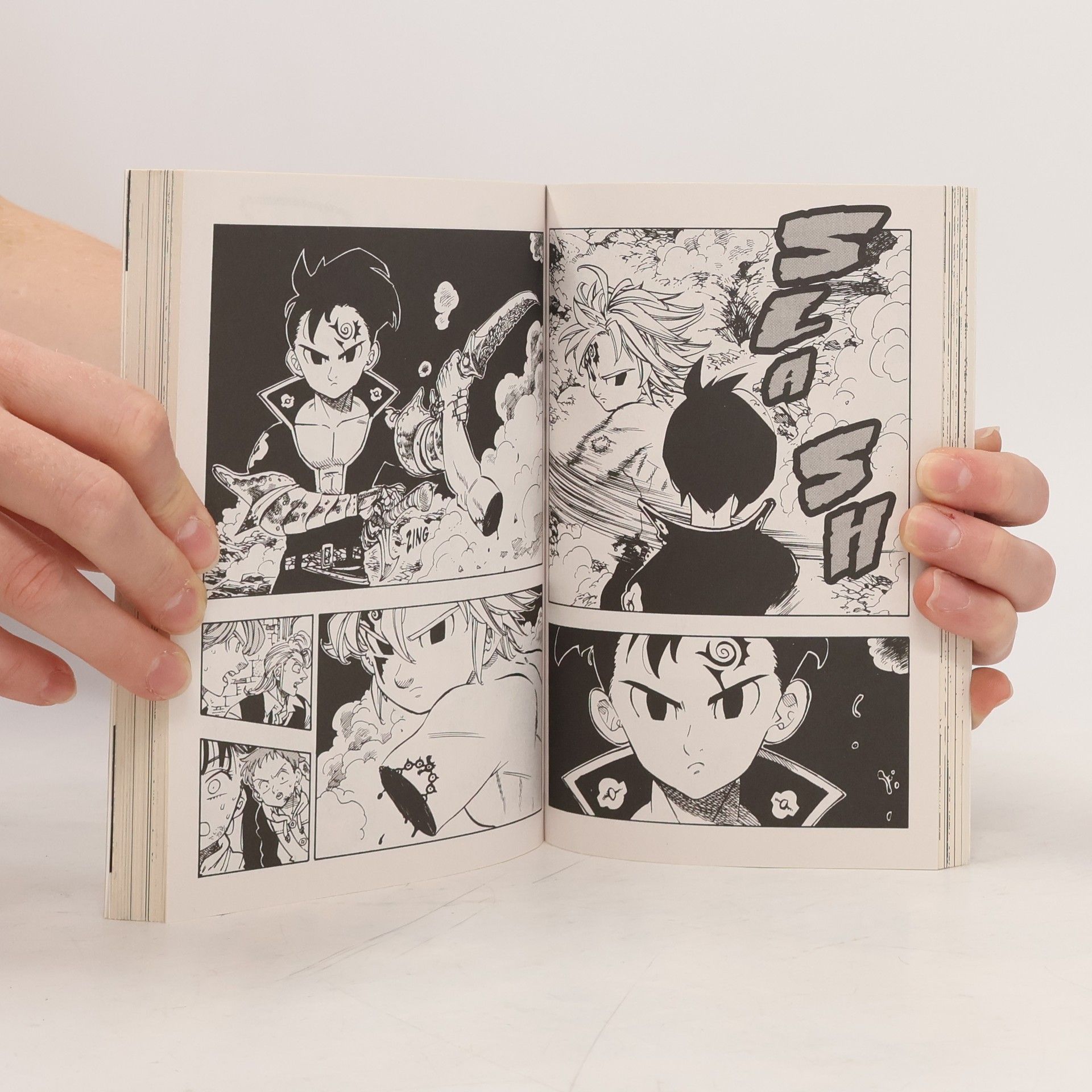 Nakaba Suzuki Seven deadly sins 22