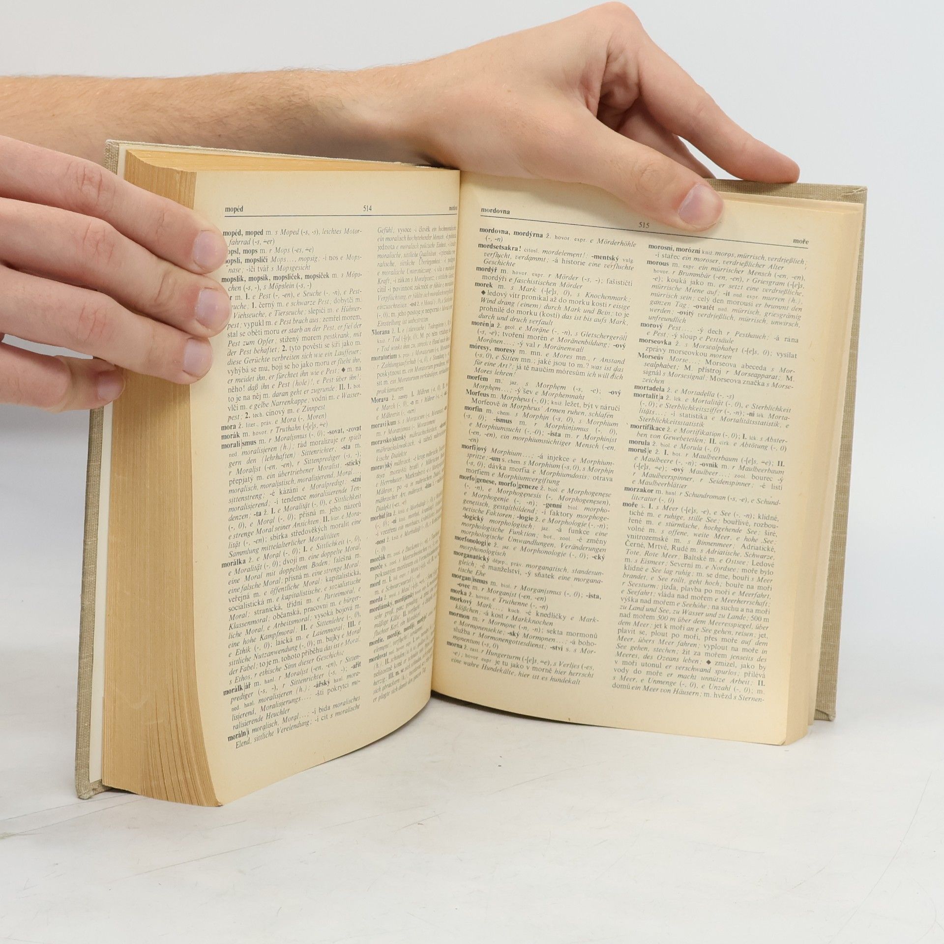 Autorenkollektiv Česko-německý slovník I. A-O