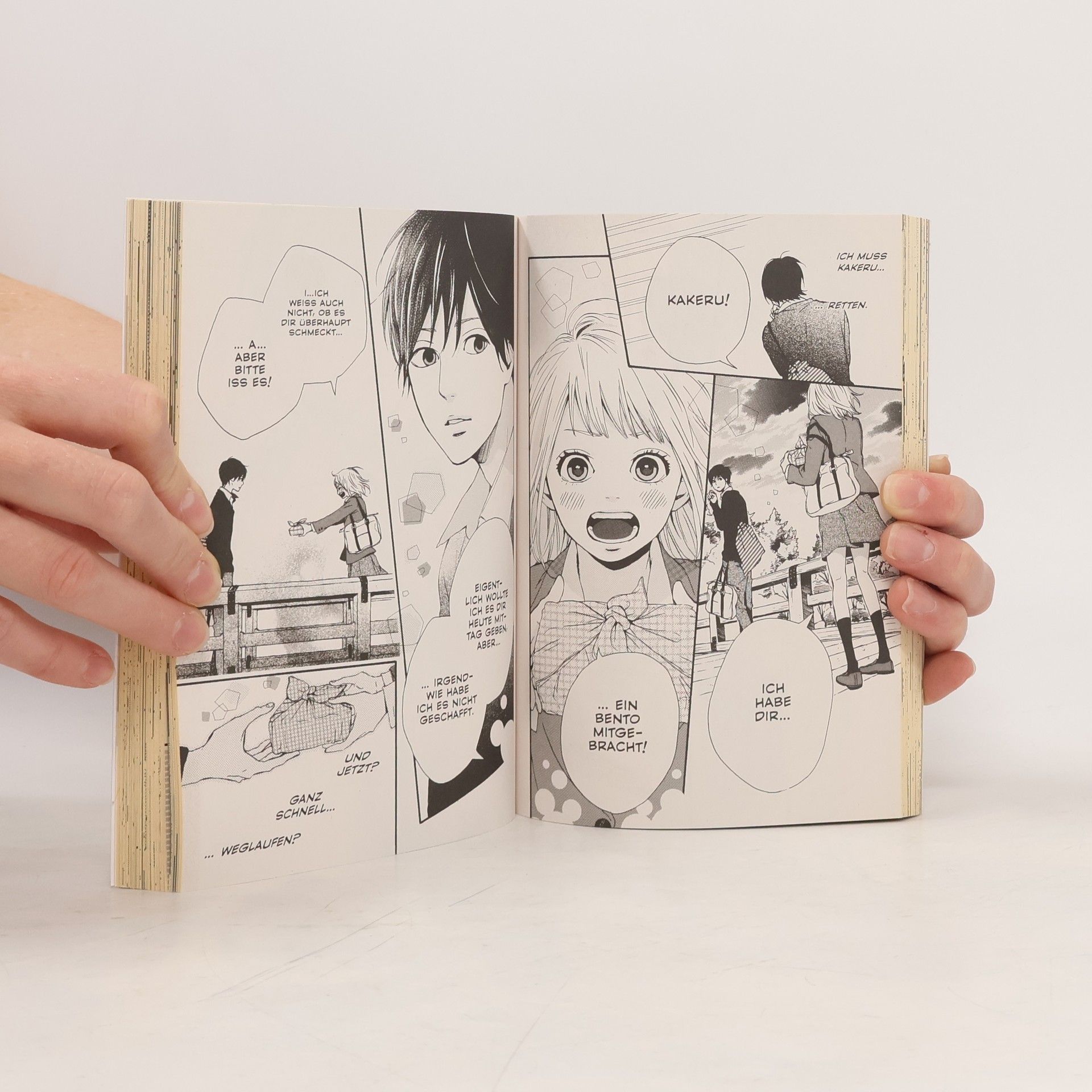 Ičigo Takano Orange 1