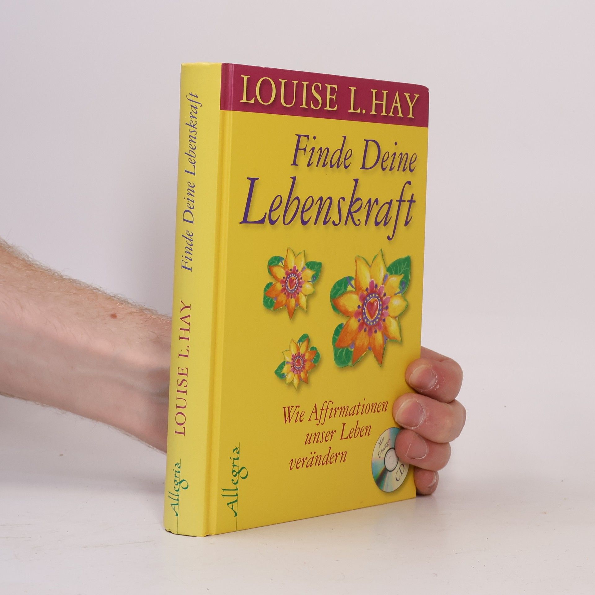 Lousie L. Hay Finde Deine Lebenskraft