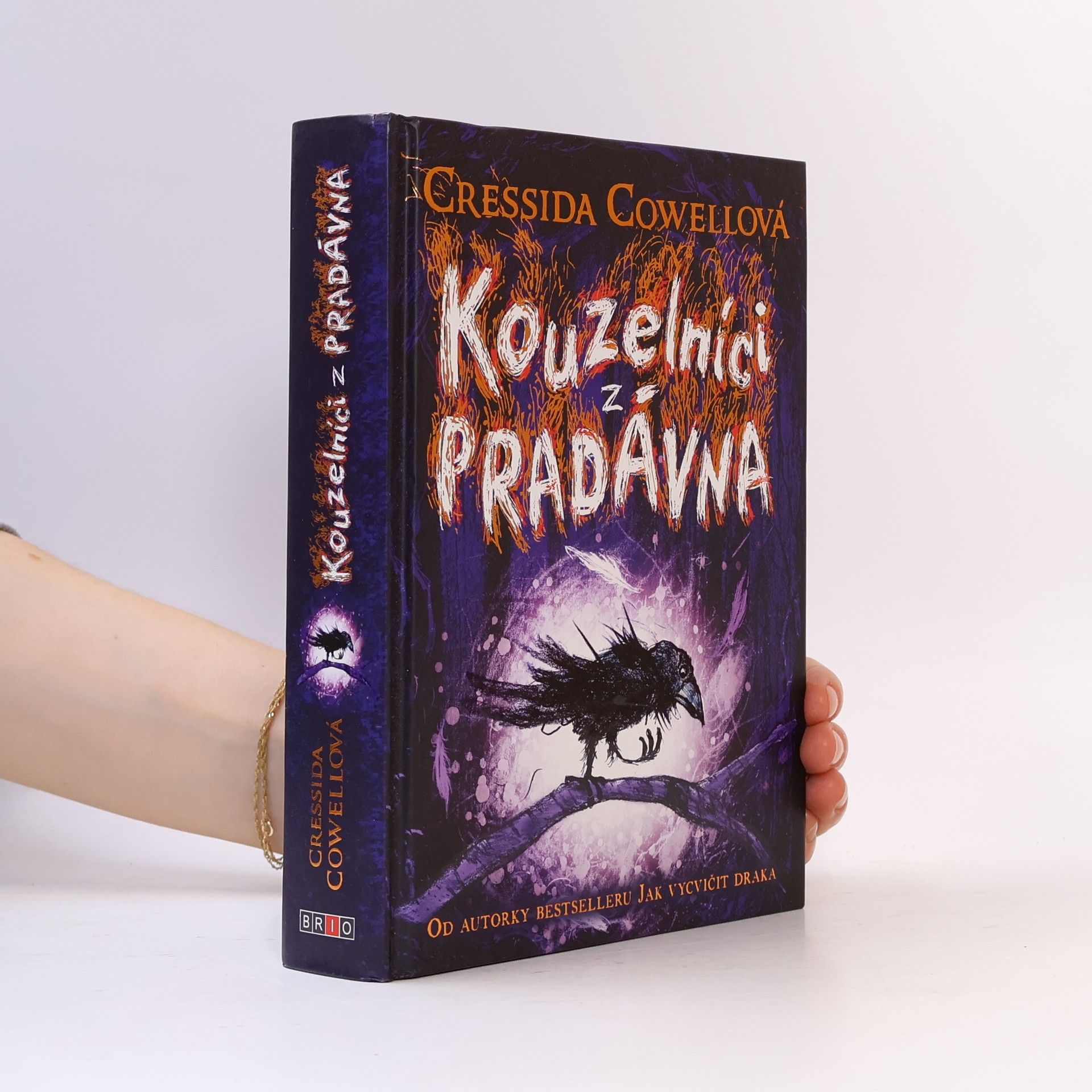 Cressida Cowell Kouzelníci z pradávna