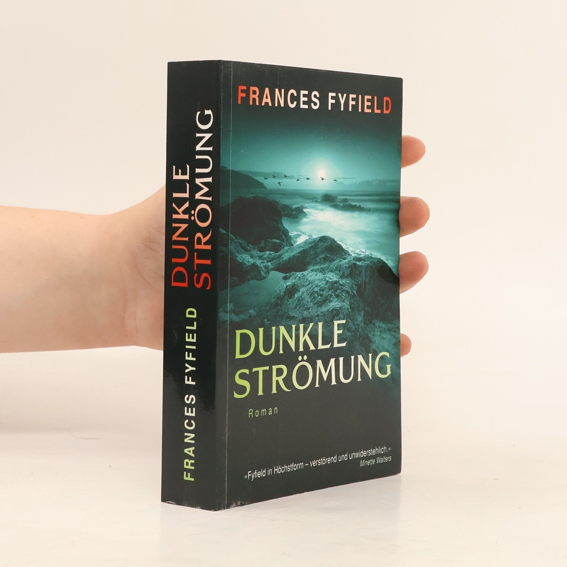 Frances Fyfield Dunkle Strömung
