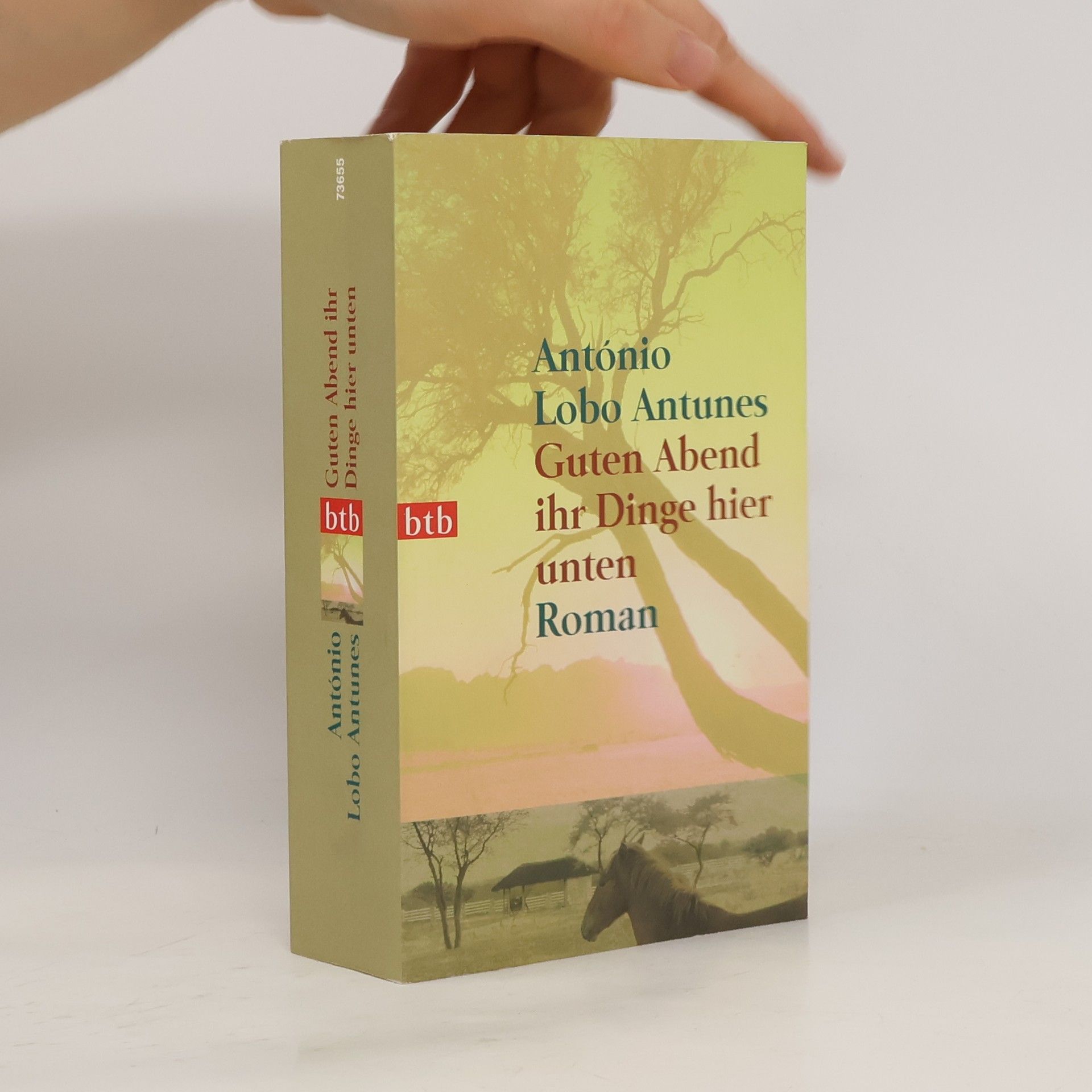 António Lobo Antunes Guten Abend ihr Dinge hier unten