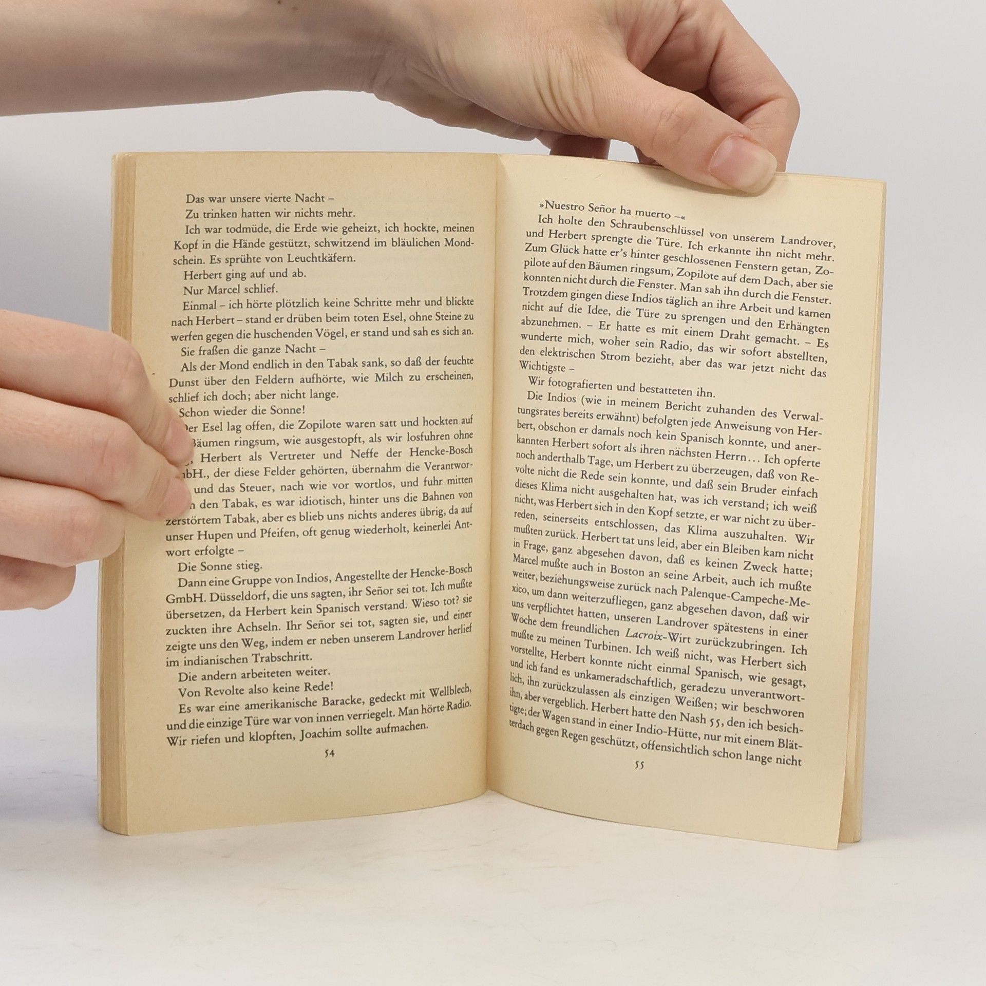 Max Frisch Homo faber