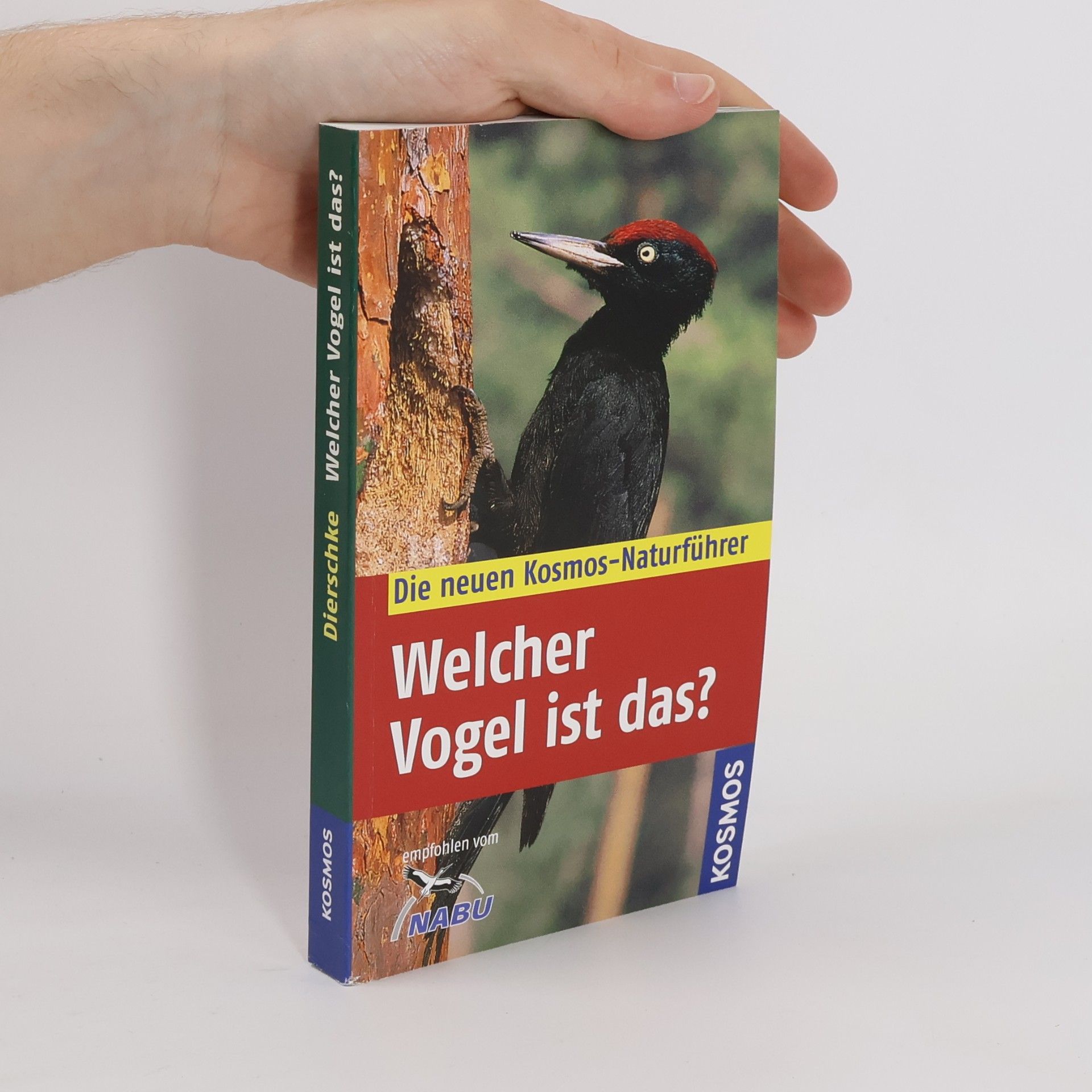 Volker Dierschke Welcher Vogel ist das?