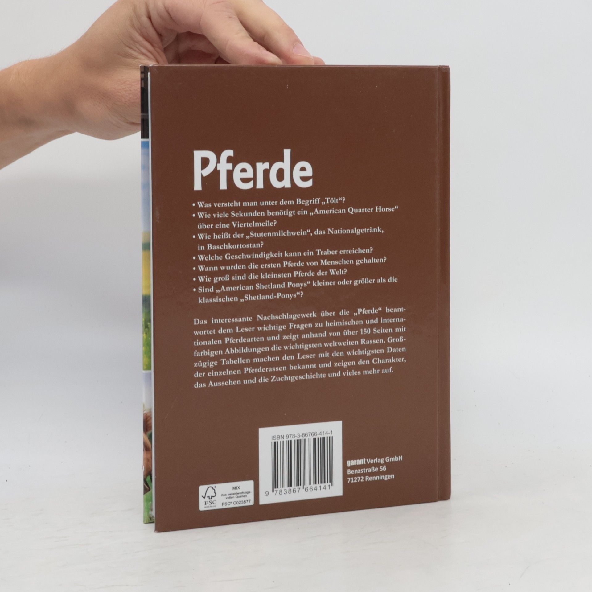 Pferde
