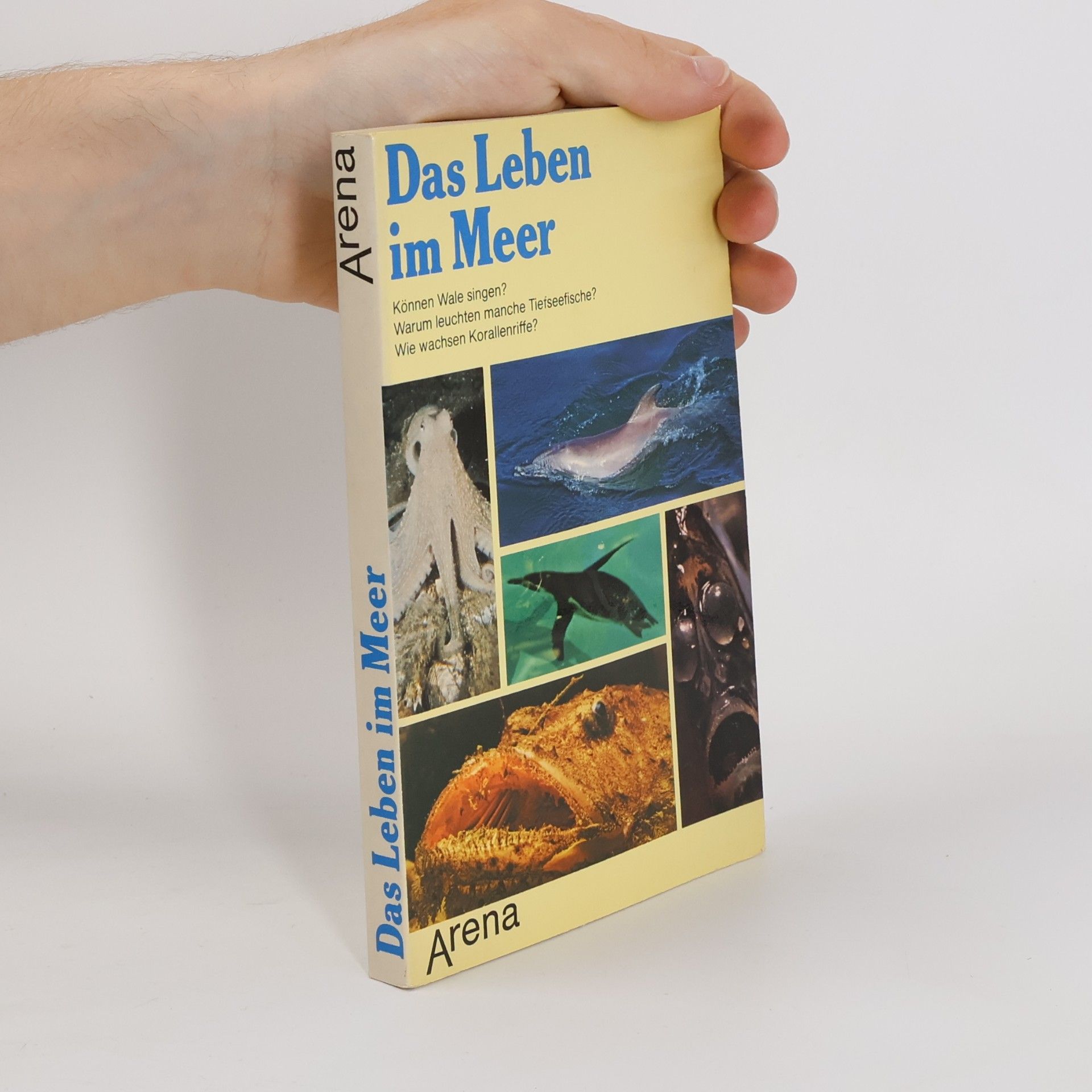 Guido Petter Das Leben im Meer