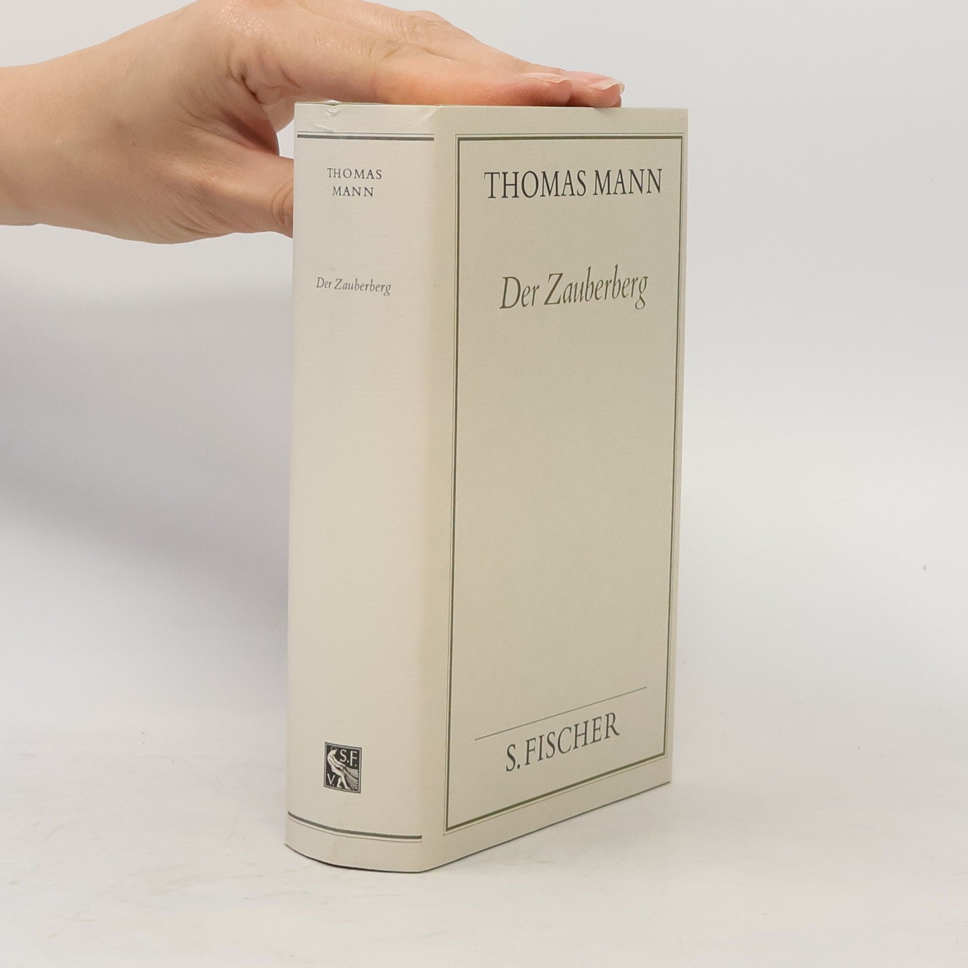 Thomas Mann Der Zauberberg