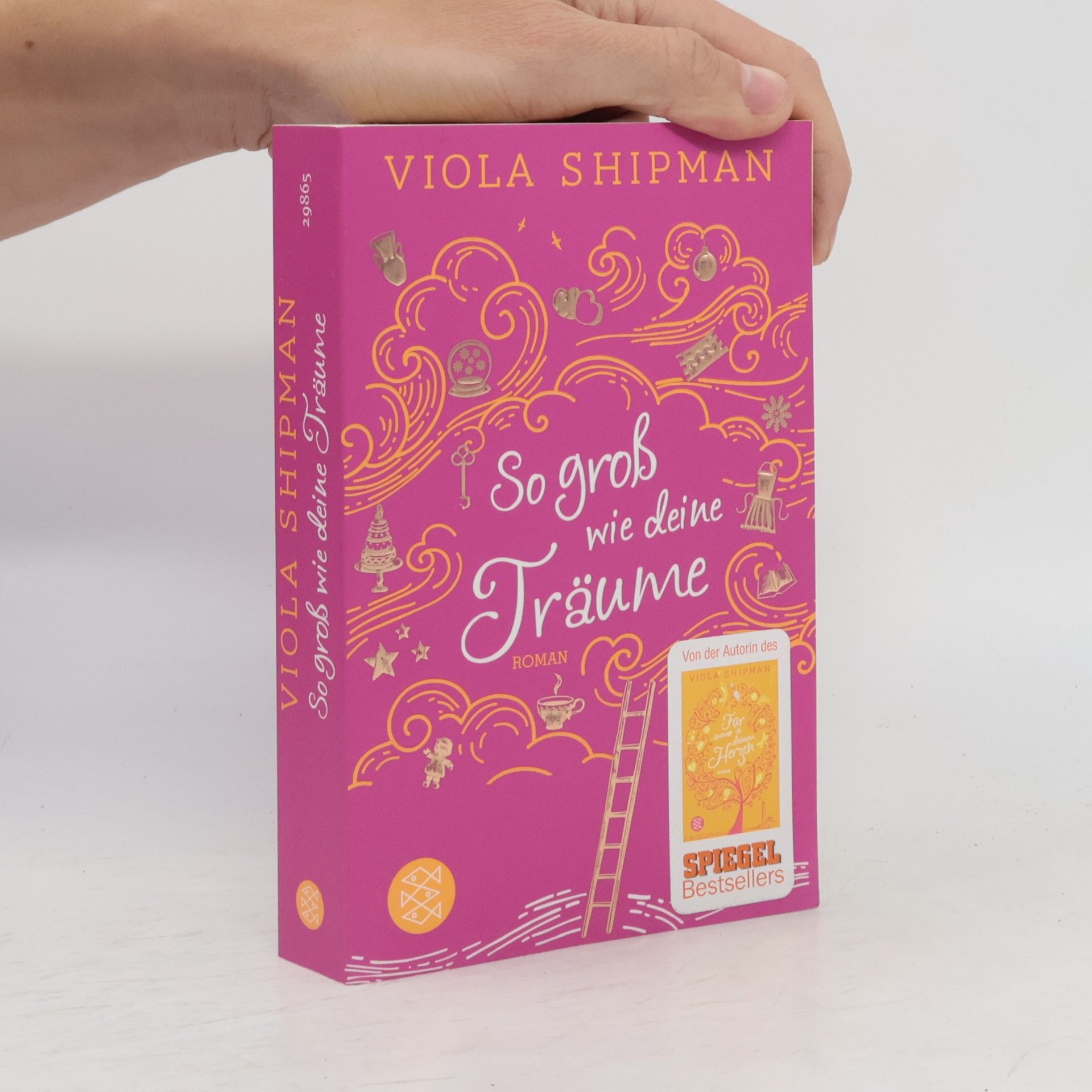 Viola Shipman So groß wie deine Träume