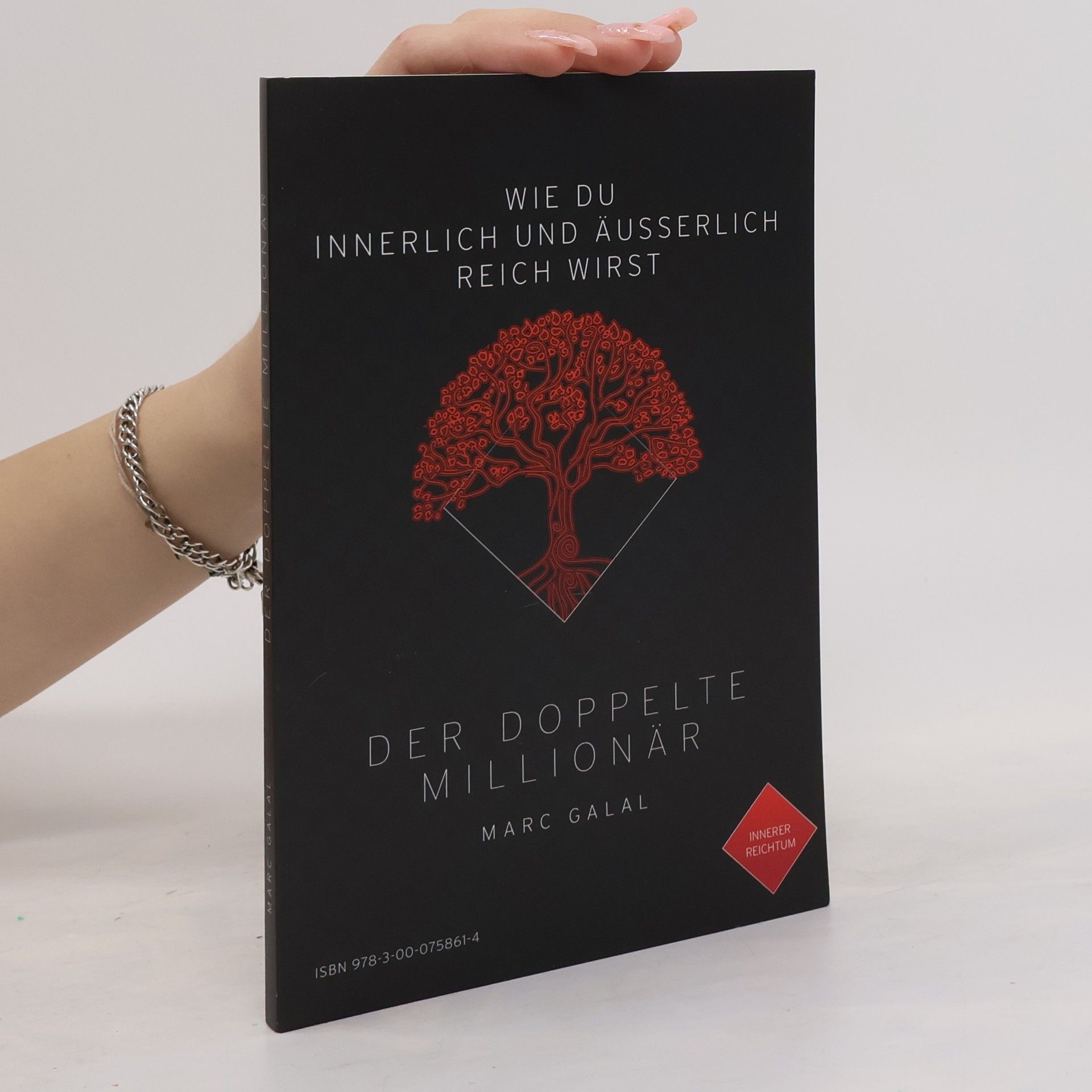 Marc M. Galal Der Doppelte Millionär
