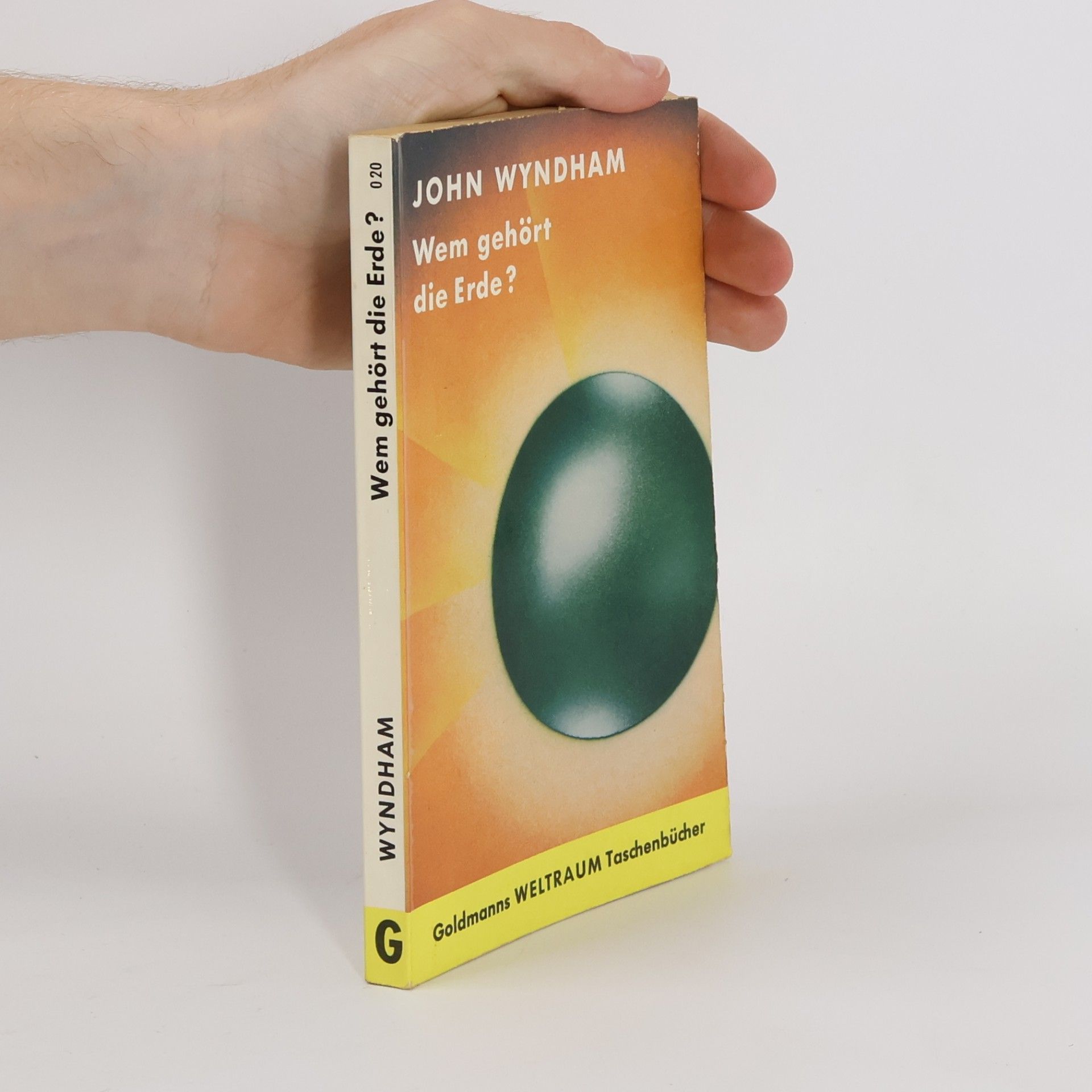 John Wybdham Wem gehört die Erde?