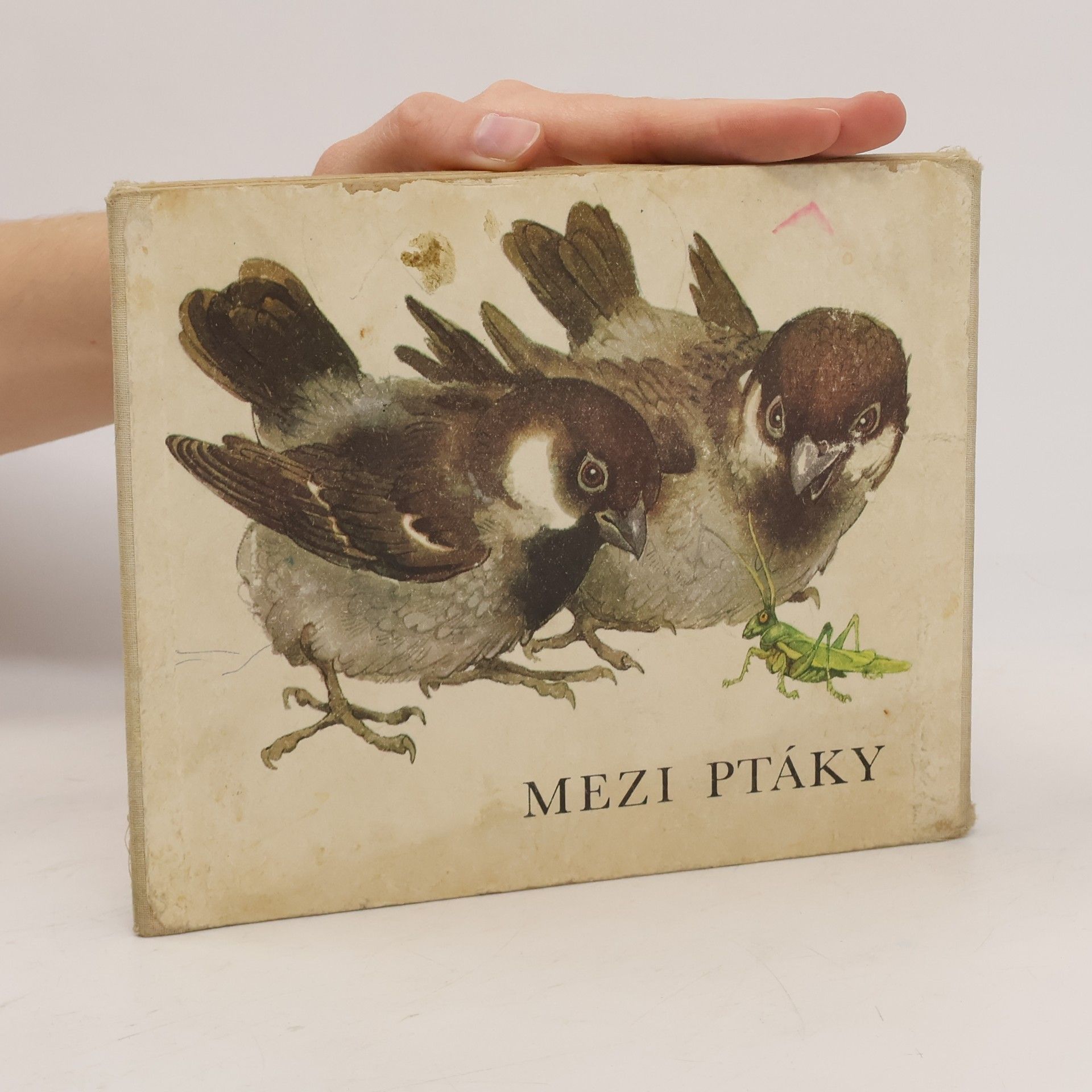 J. Háj Mezi ptáky