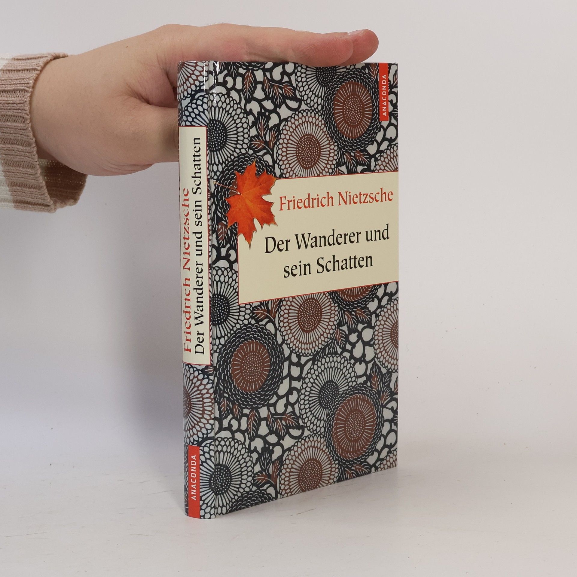 Friedrich Nietzsche Der Wanderer und sein Schatten