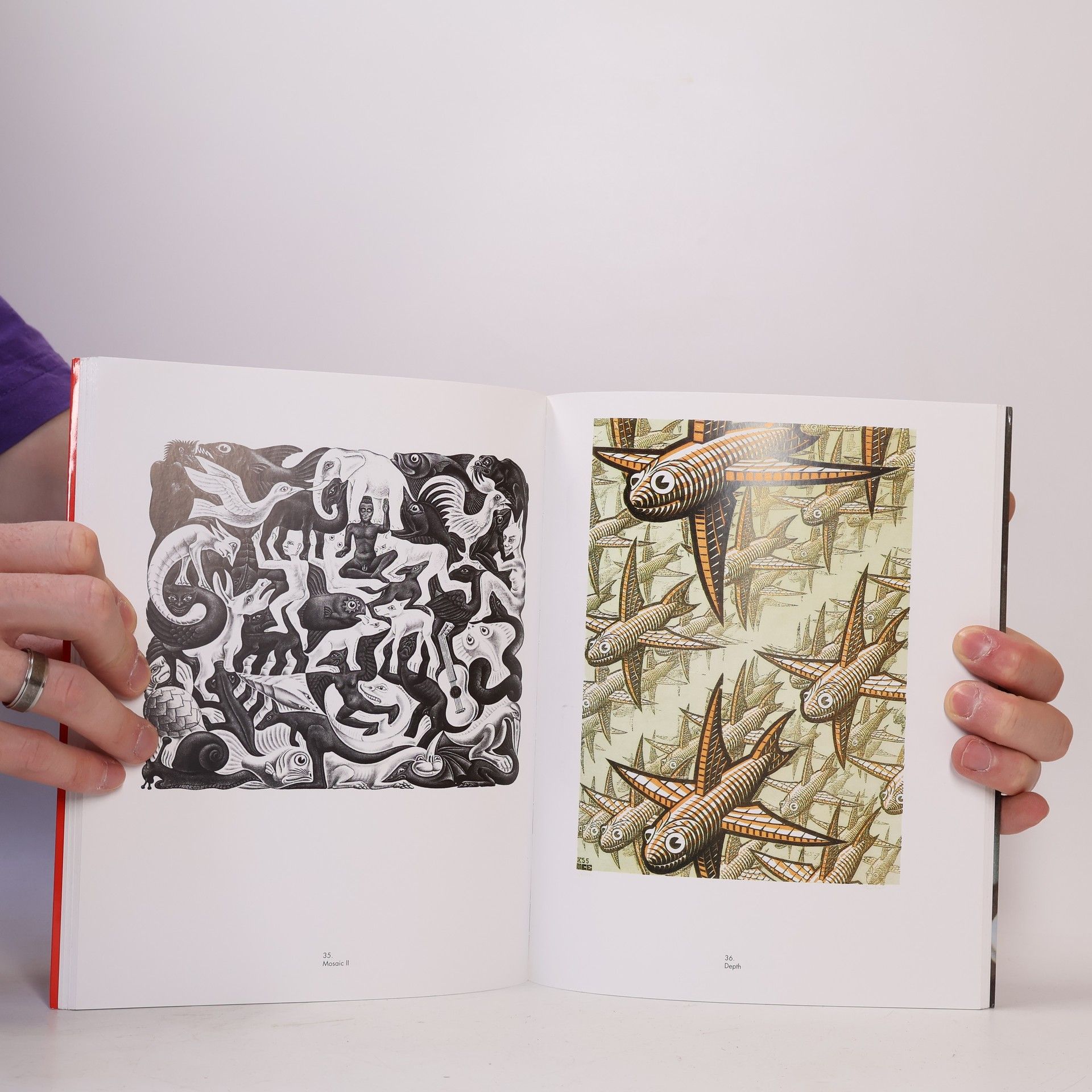 M. C. Escher Graphik und Zeichnungen