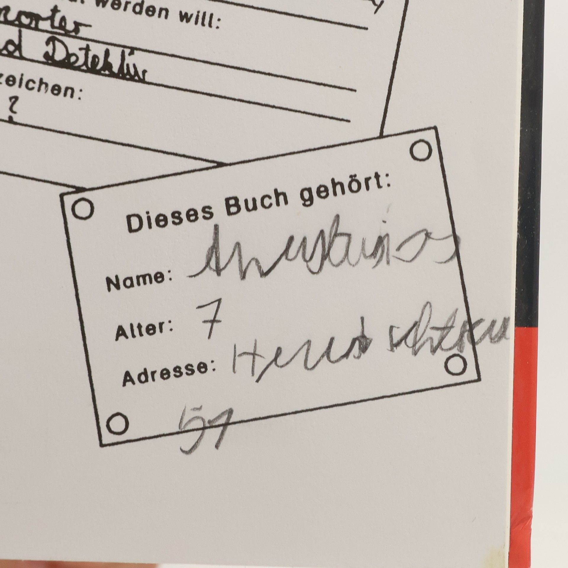 Ulf Blanck Die drei ??? Kids 1. Panik im Paradies