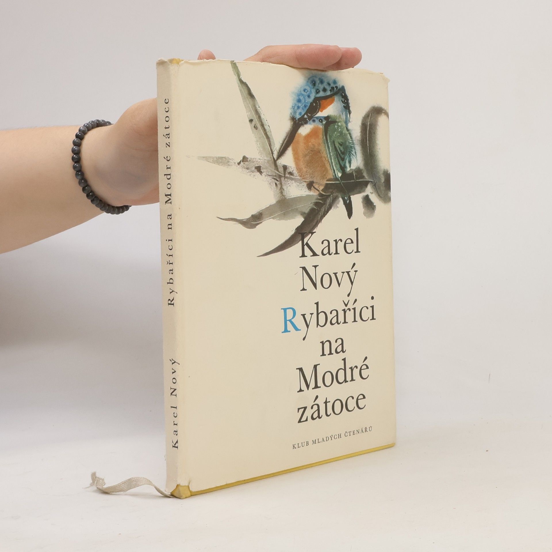 Karel Nový Rybaříci na Modré zátoce