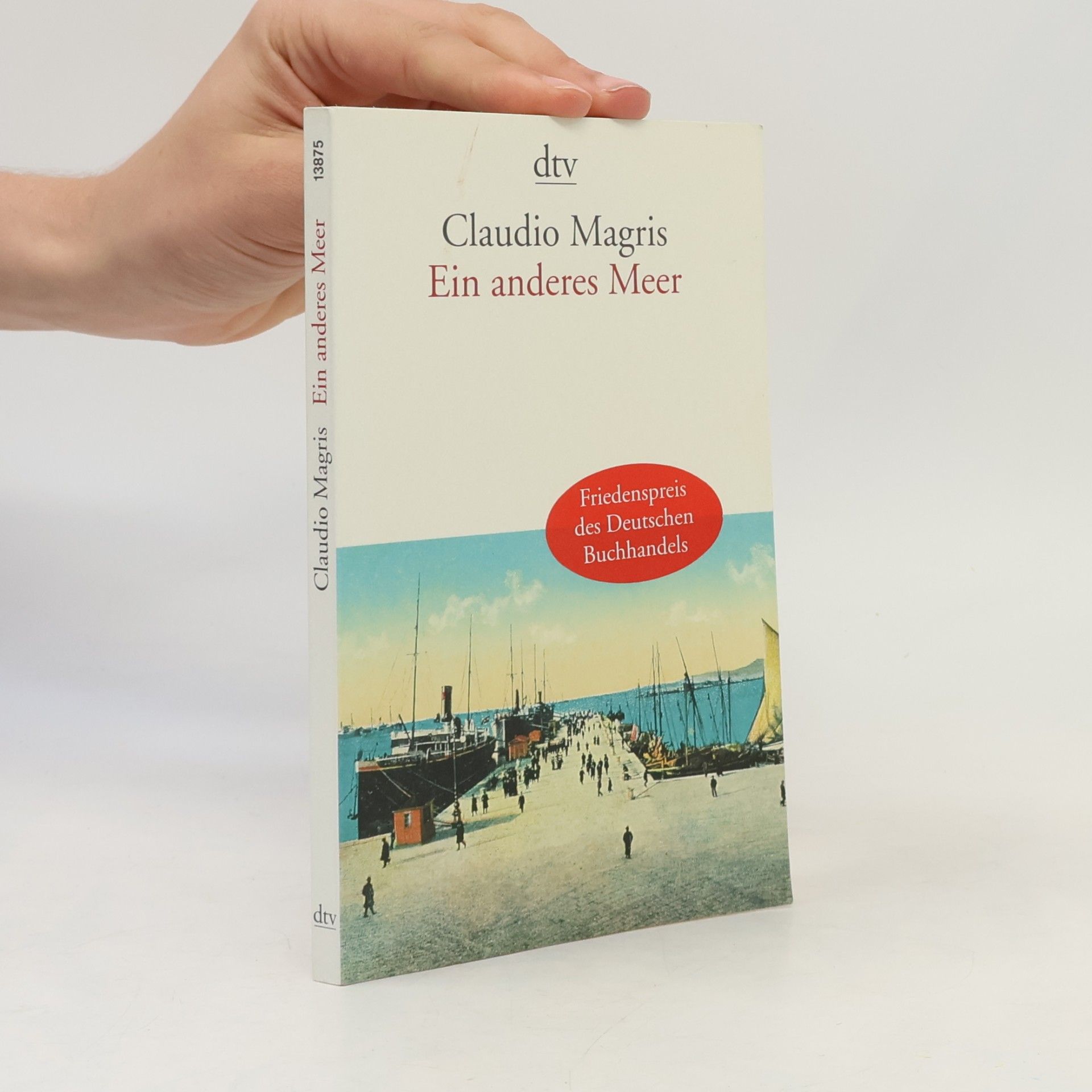 Claudio Magris Ein anderes Meer