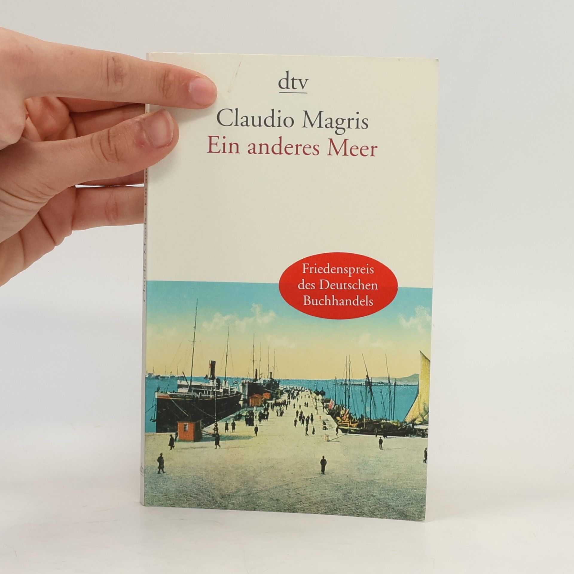 Claudio Magris Ein anderes Meer