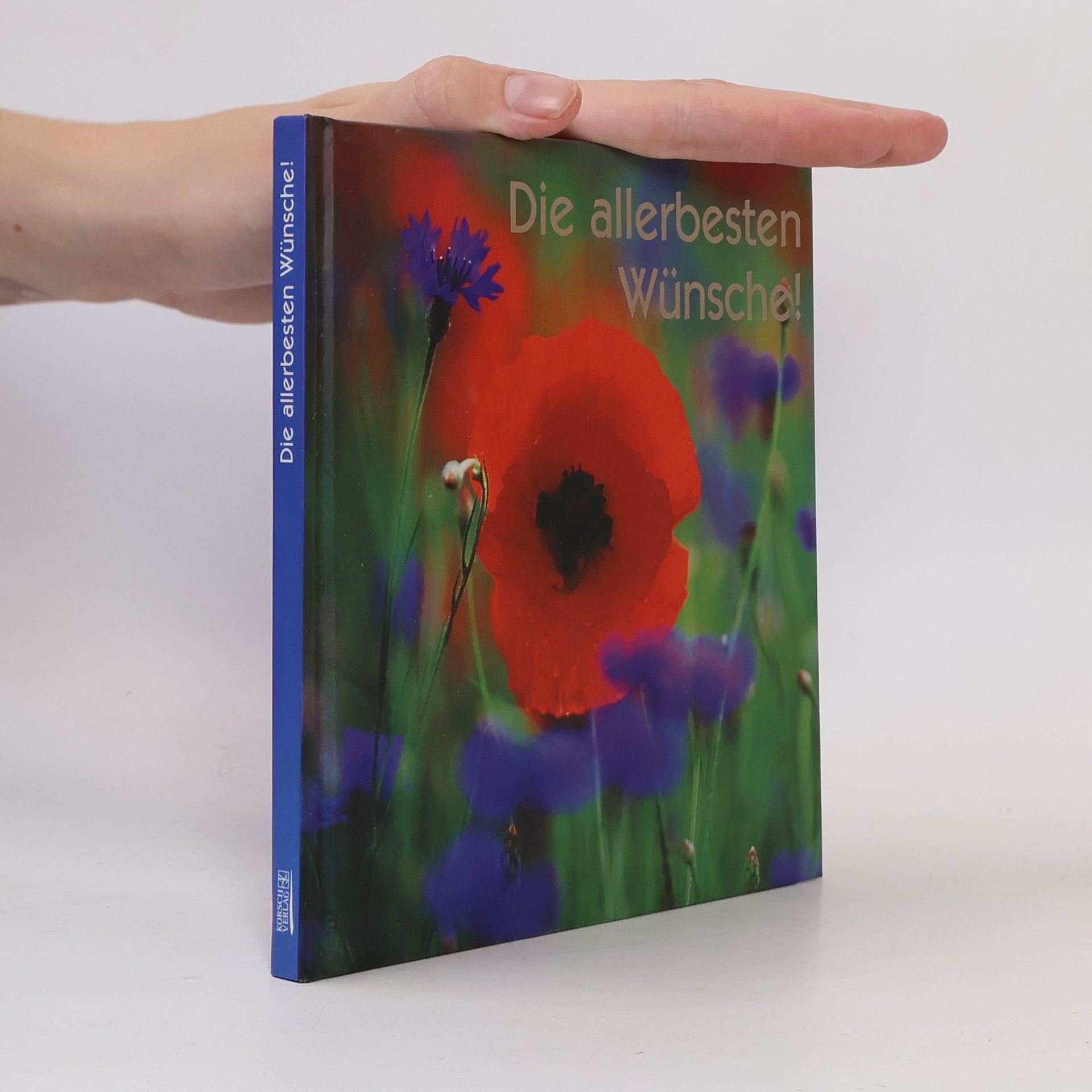 Collectif d'auteurs Die allerbesten Wünsche!