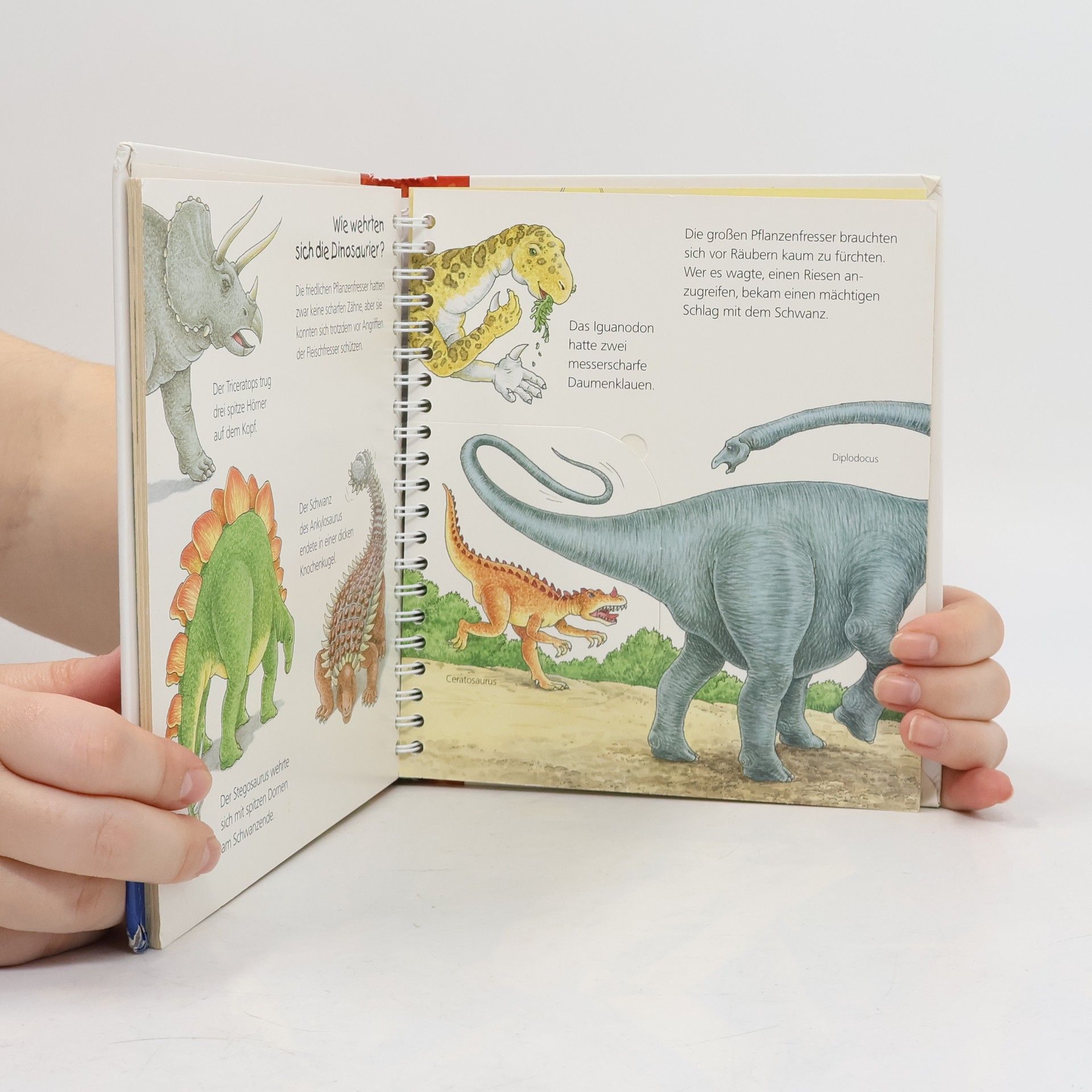 Angela Weinhold Die Dinosaurier
