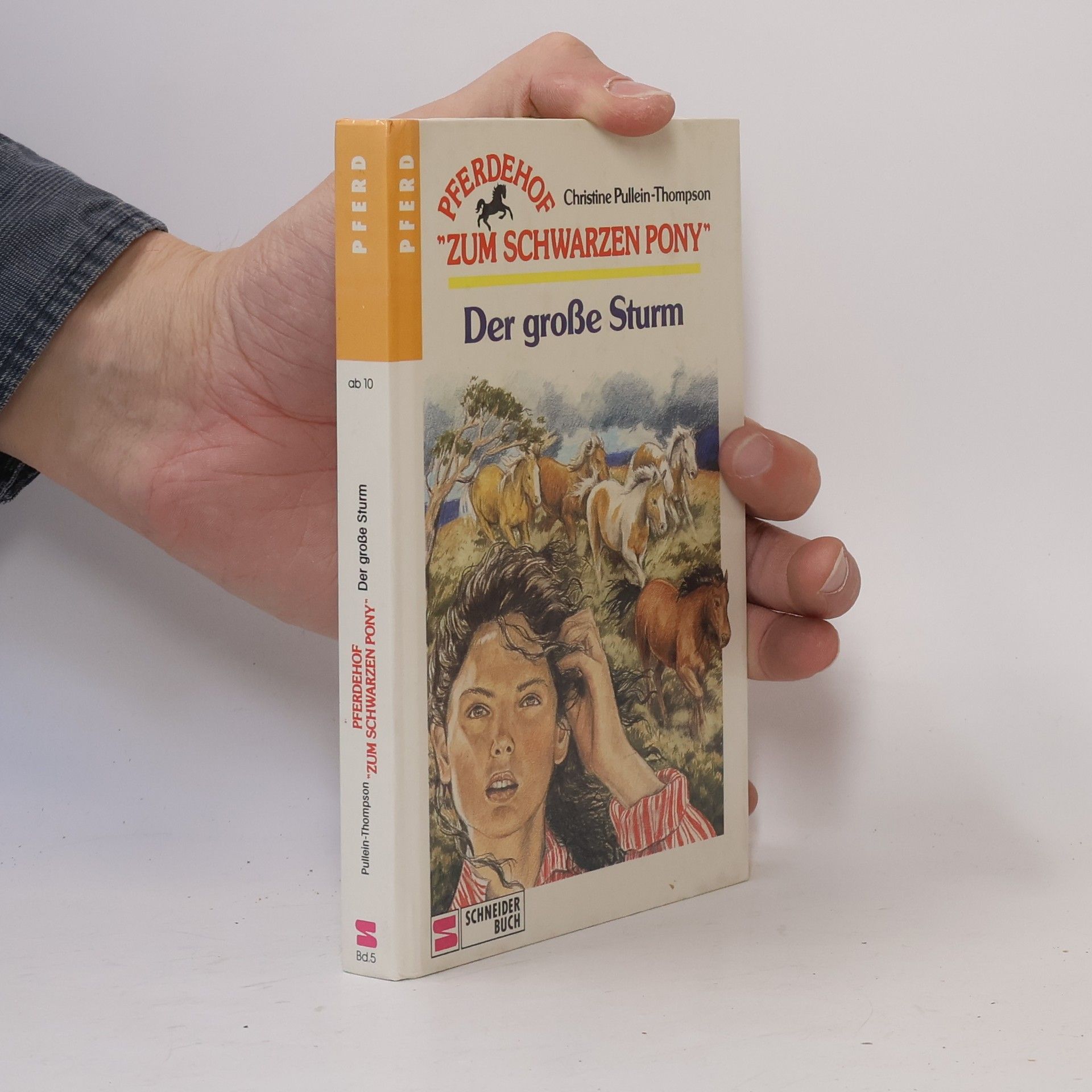 Christine Pullein-Thompson Pferdehof Zum Schwarzen Pony - 5: Der Große Sturm