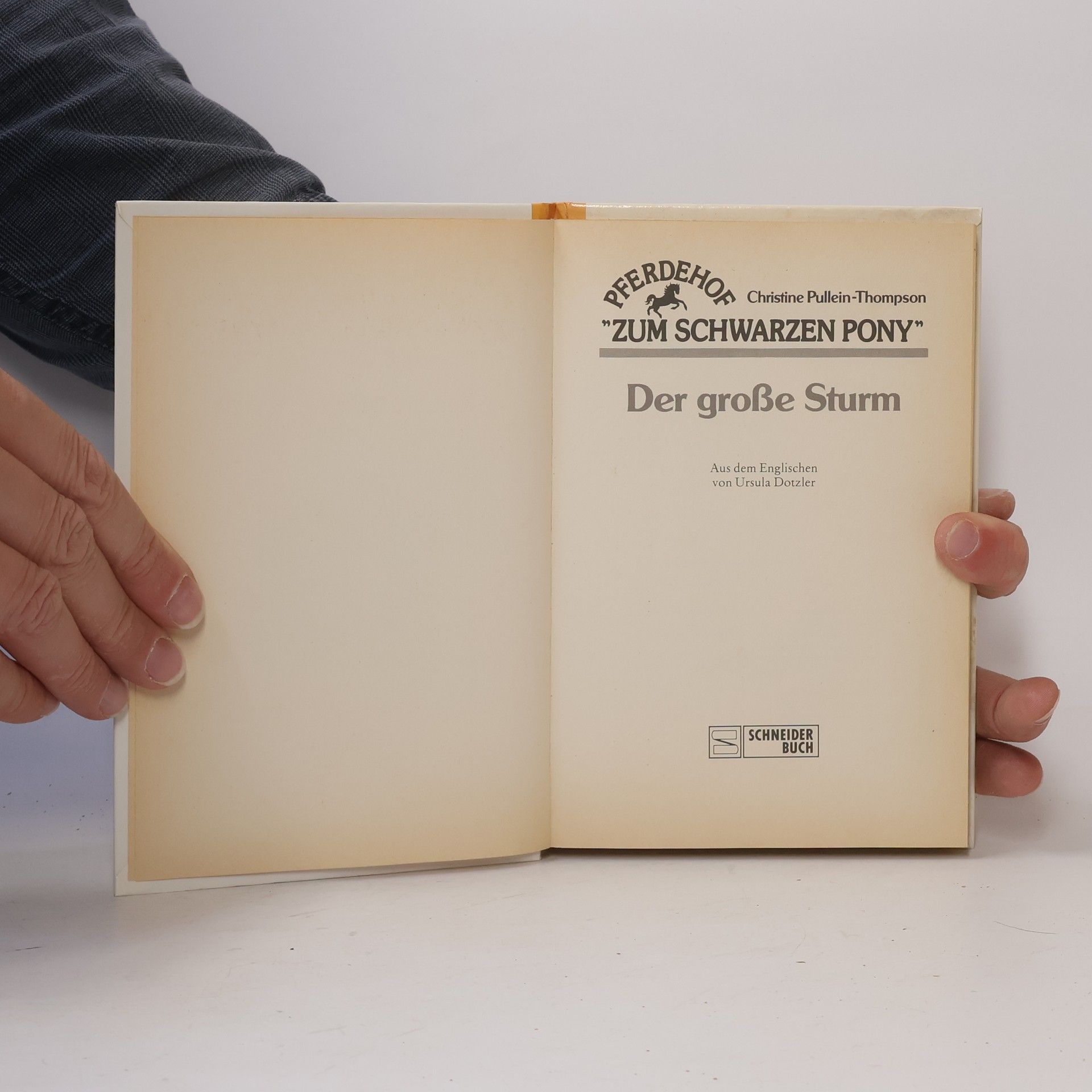 Christine Pullein-Thompson Pferdehof Zum Schwarzen Pony - 5: Der Große Sturm