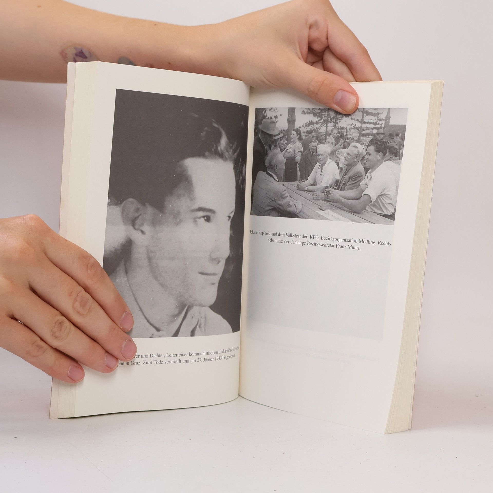 Franz Muhri Kein Ende der Geschichte