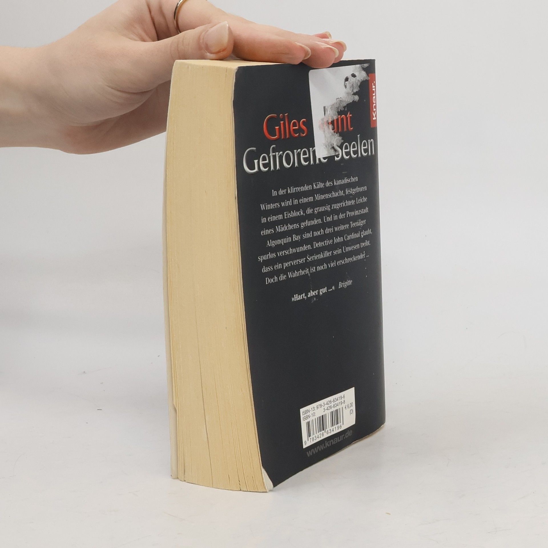 Giles Blunt Gefrorene Seelen