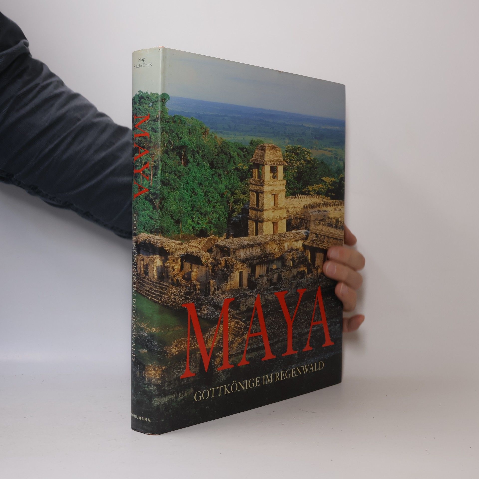 Nikolai Grube Maya. Gottkönige im Regenwald