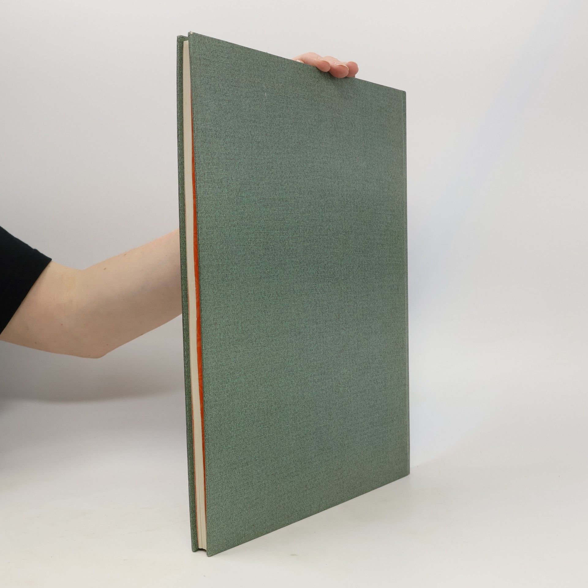 Brigitta Hochfelden Das Buch der Wäsche