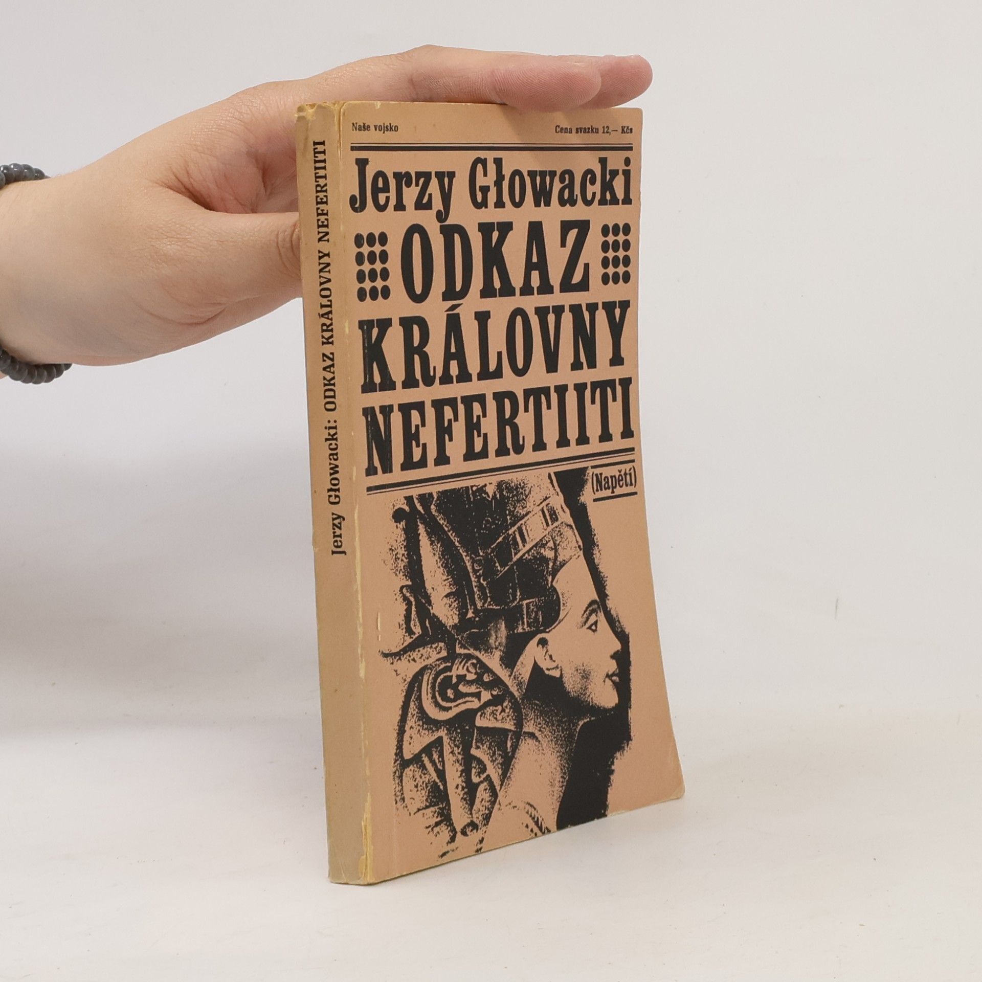 František Nechvátal Odkaz královny Nefertiiti