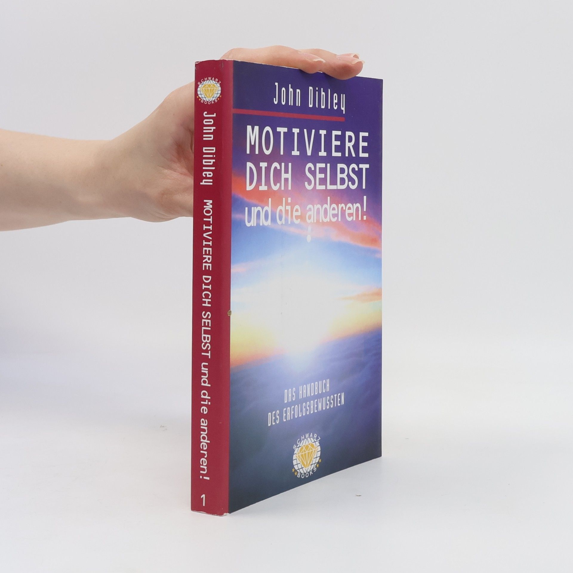 John Dibley Motiviere dich selbst und die anderen!