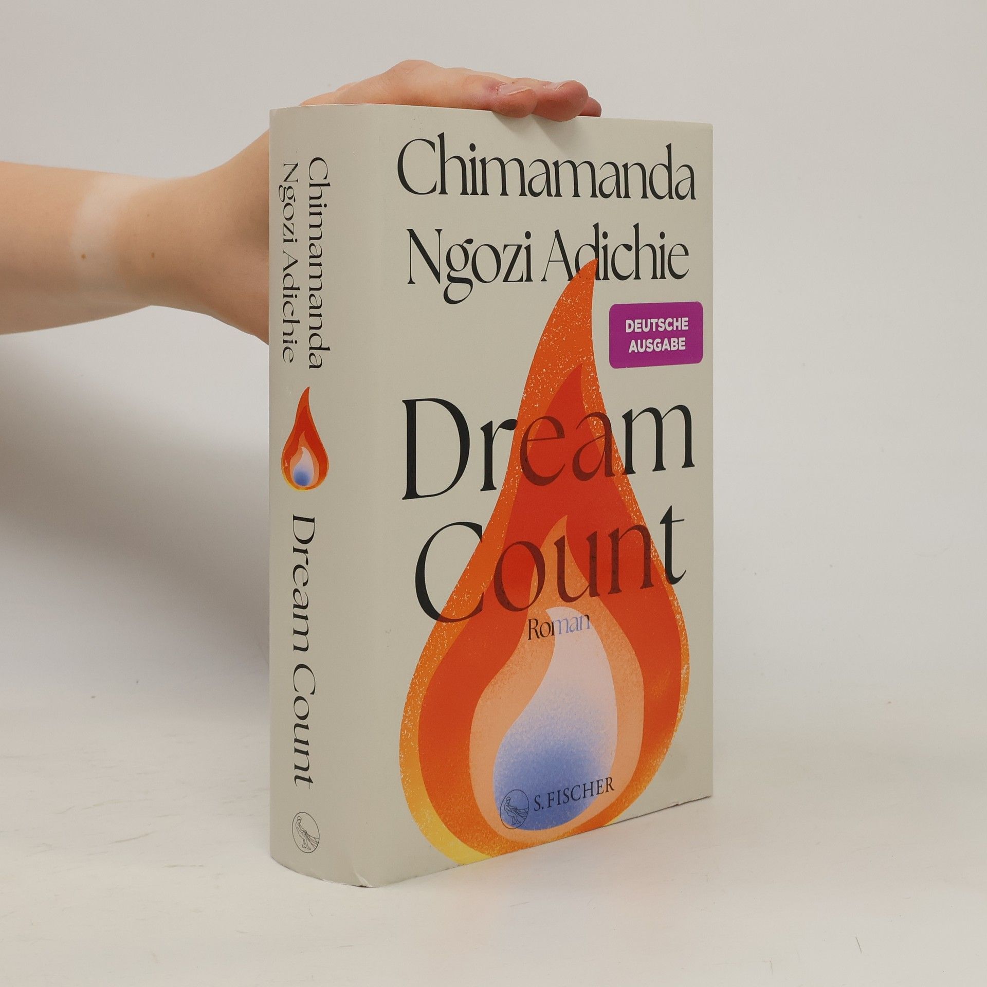 Chimamanda Ngozi Adichie Dream Count