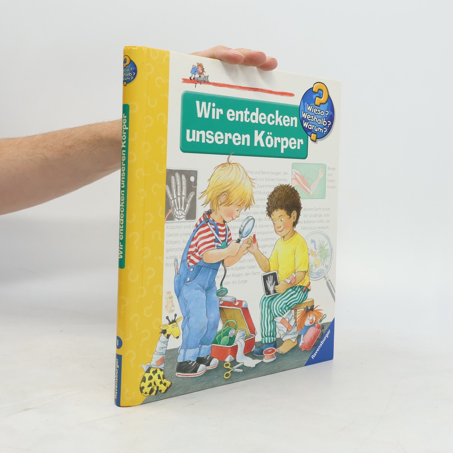 Doris Rübel Wir entdecken unseren Körper