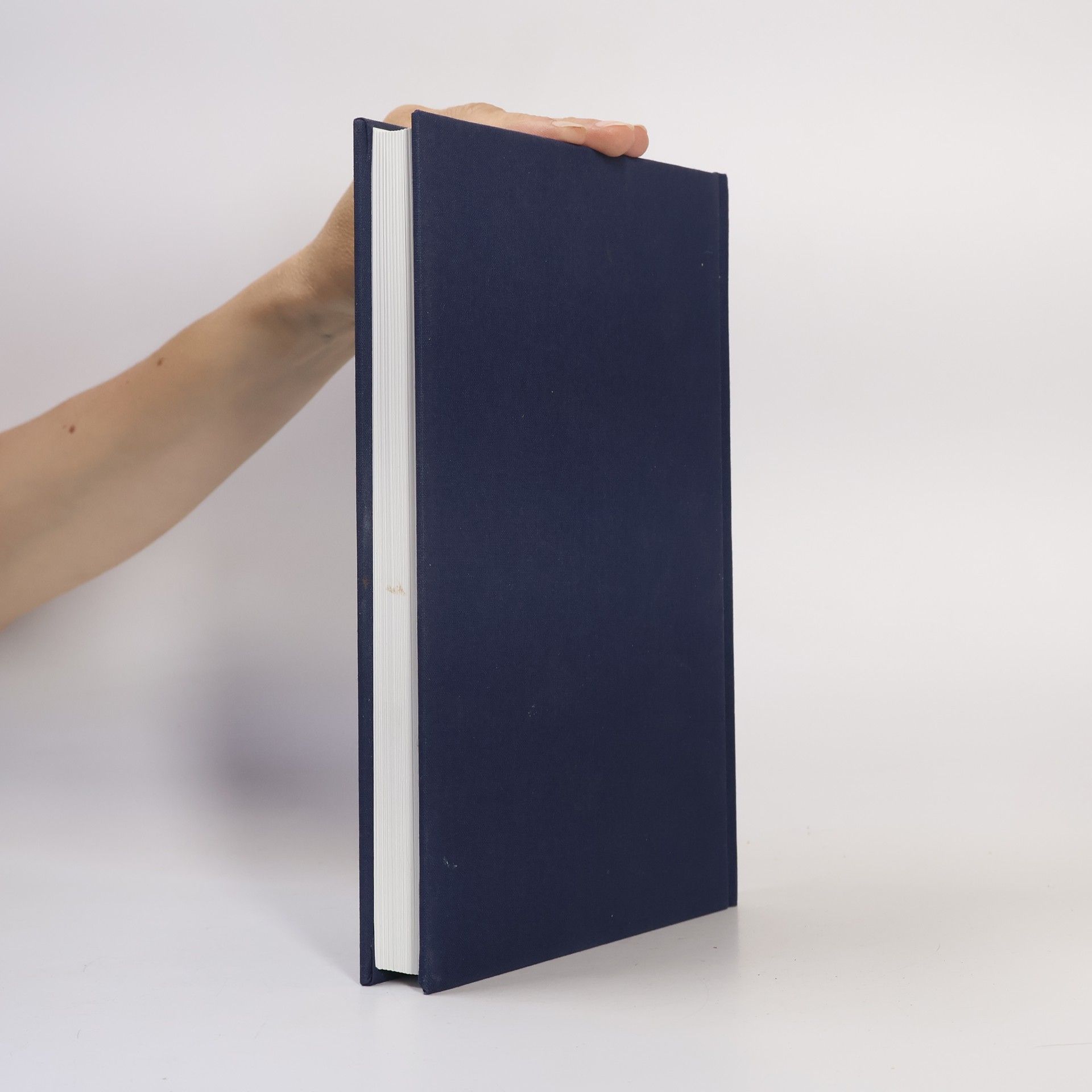 Christiane Wolff Blau ist die Farbe der Tiefe